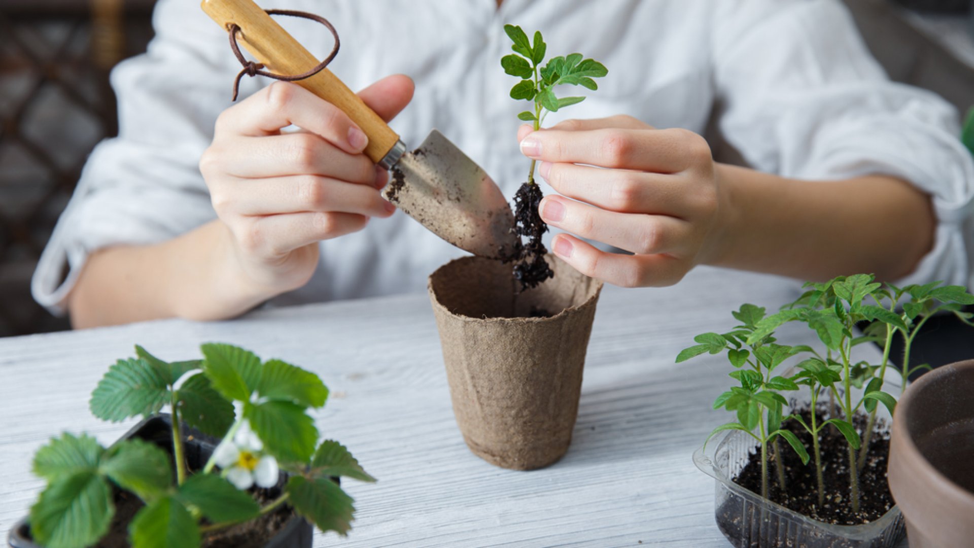Kis helyen is megoldható a konyhakert? Még szép!