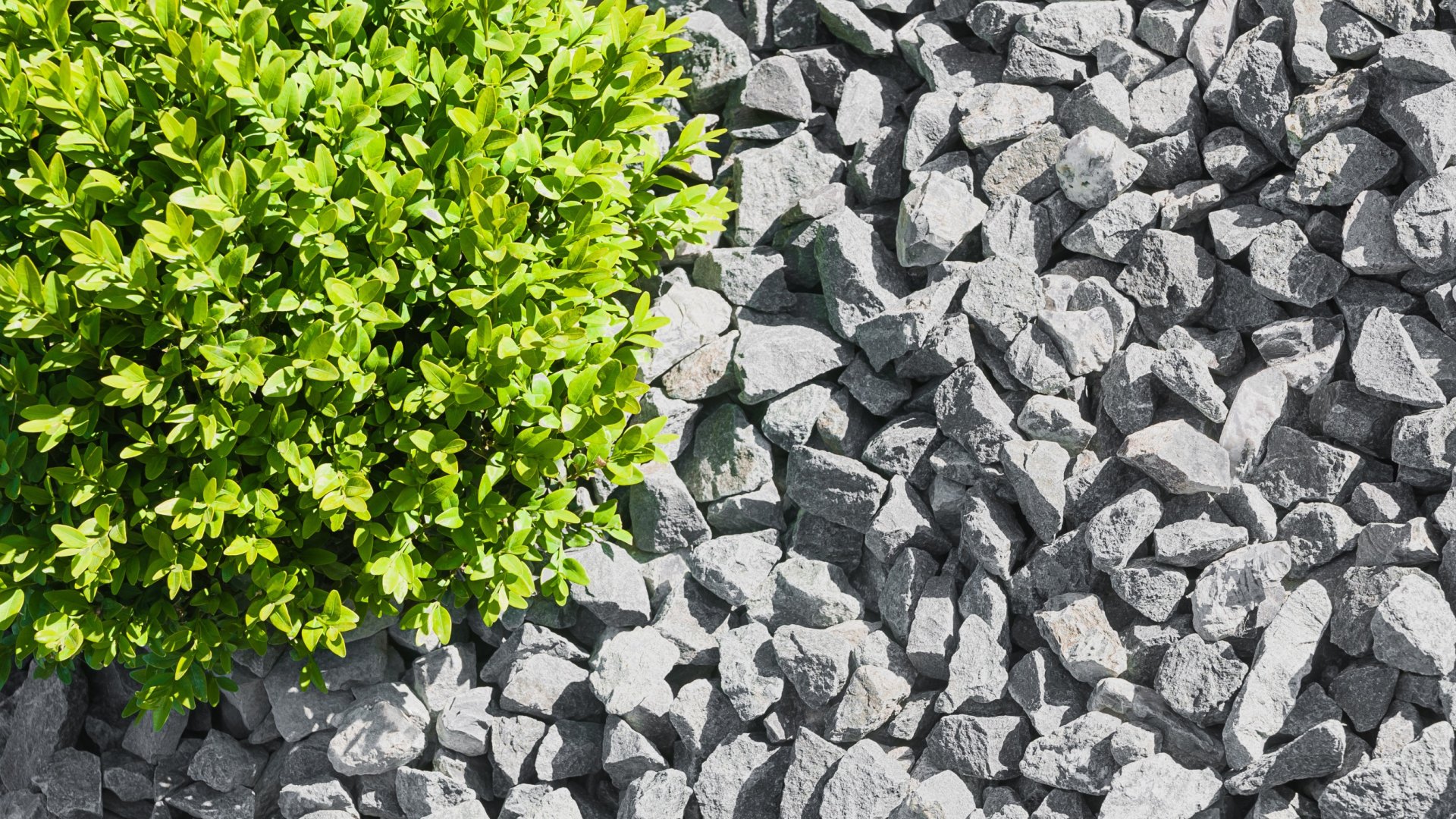 Kavics talajtakaró – zúzottkő használata mulcs helyett Kavics talajtakaró – zúzottkő használata mulcs helyett