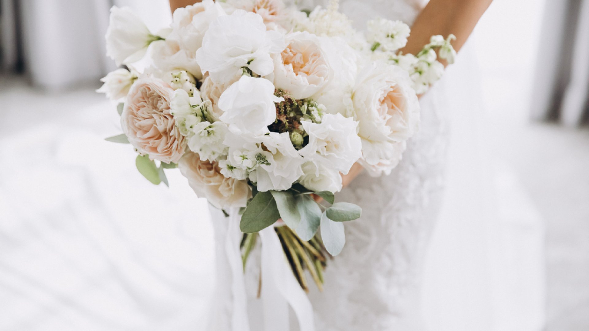 Növények, amelyeket bátran ajándékozhatunk nászajándékként