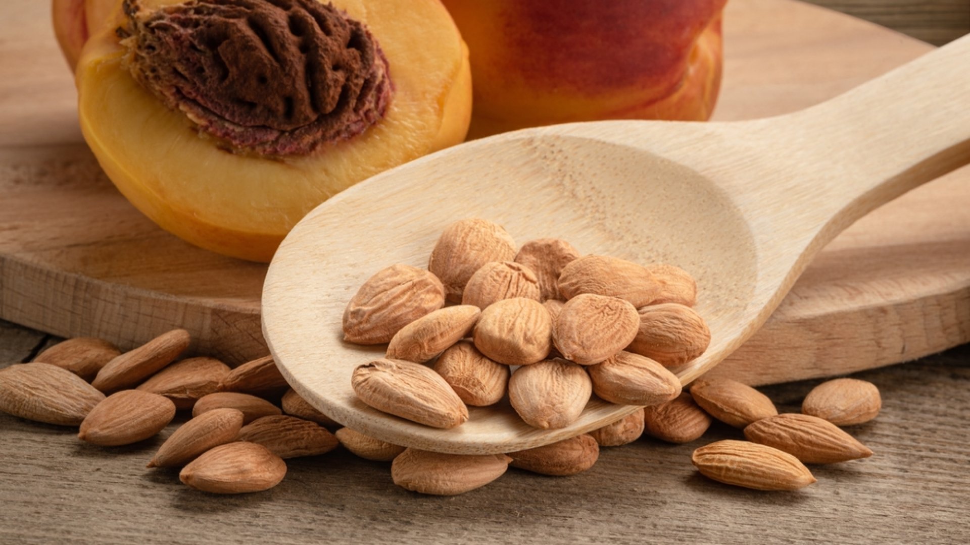 Hogyan tároljuk a barackmagot, hogy később el tudjuk ültetni? Hogyan tároljuk a barackmagot, hogy később el tudjuk ültetni?