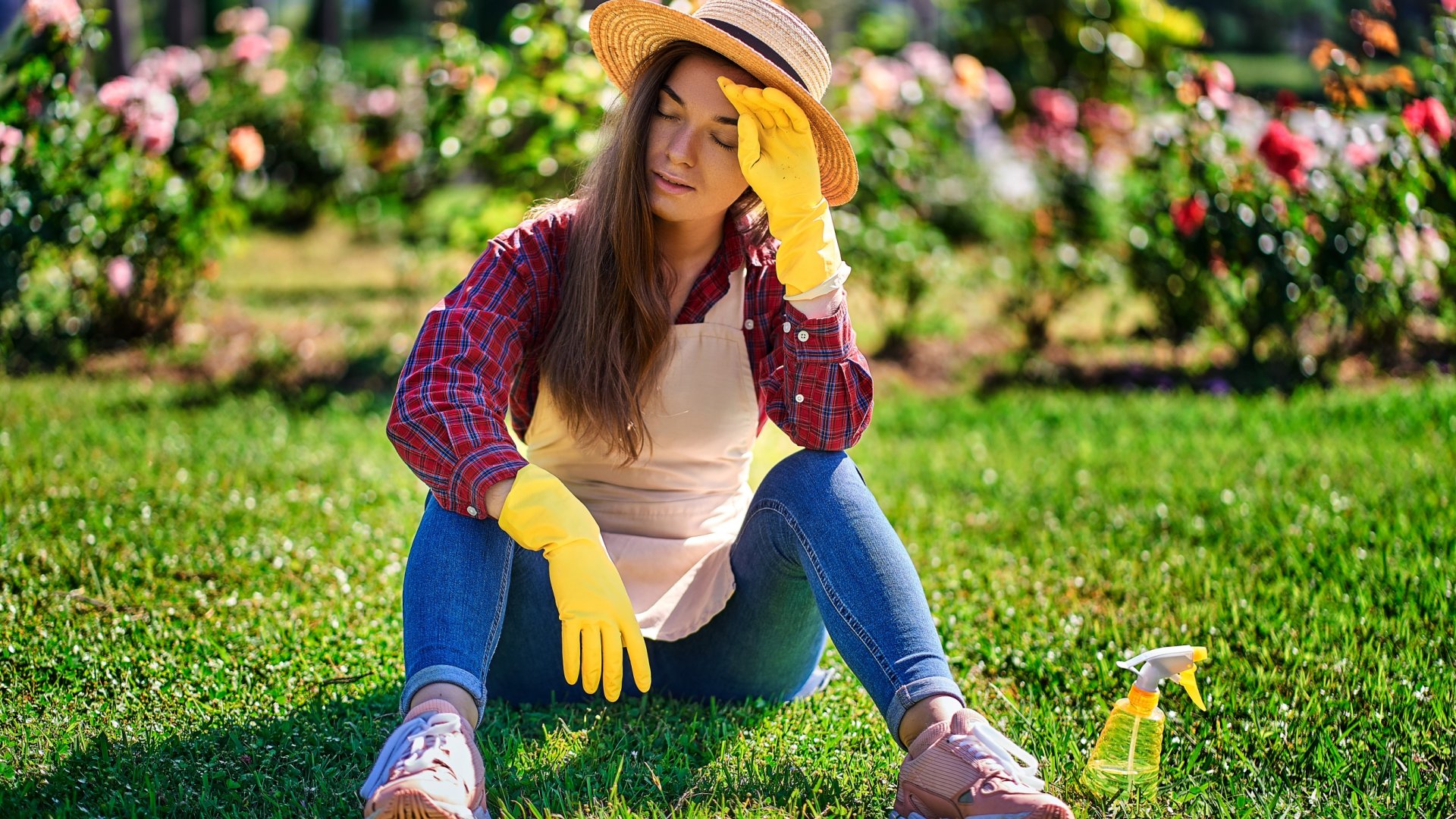 Tippek a meleg időben történő ültetéshez