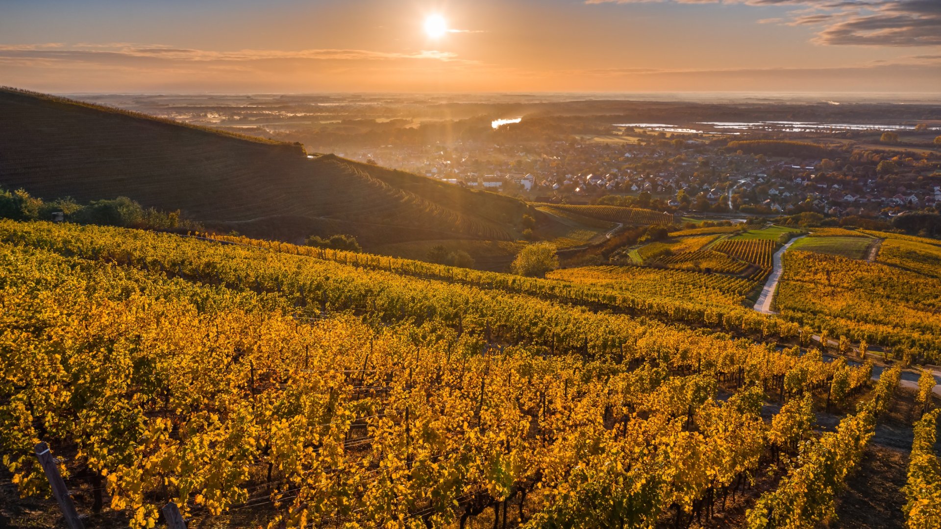 Újfent bekerült a Legkülönlegesebb Európai Helyszínek közé a méltán becsült magyar borvidékünk! Újfent bekerült a Legkülönlegesebb Európai Helyszínek közé a méltán becsült magyar borvidékünk!