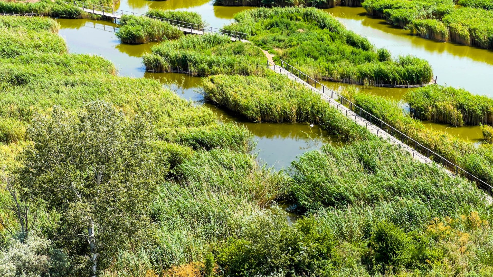 Ismerd meg Fejér megye vadregényes arcát, irány a Sóstó és környéke!