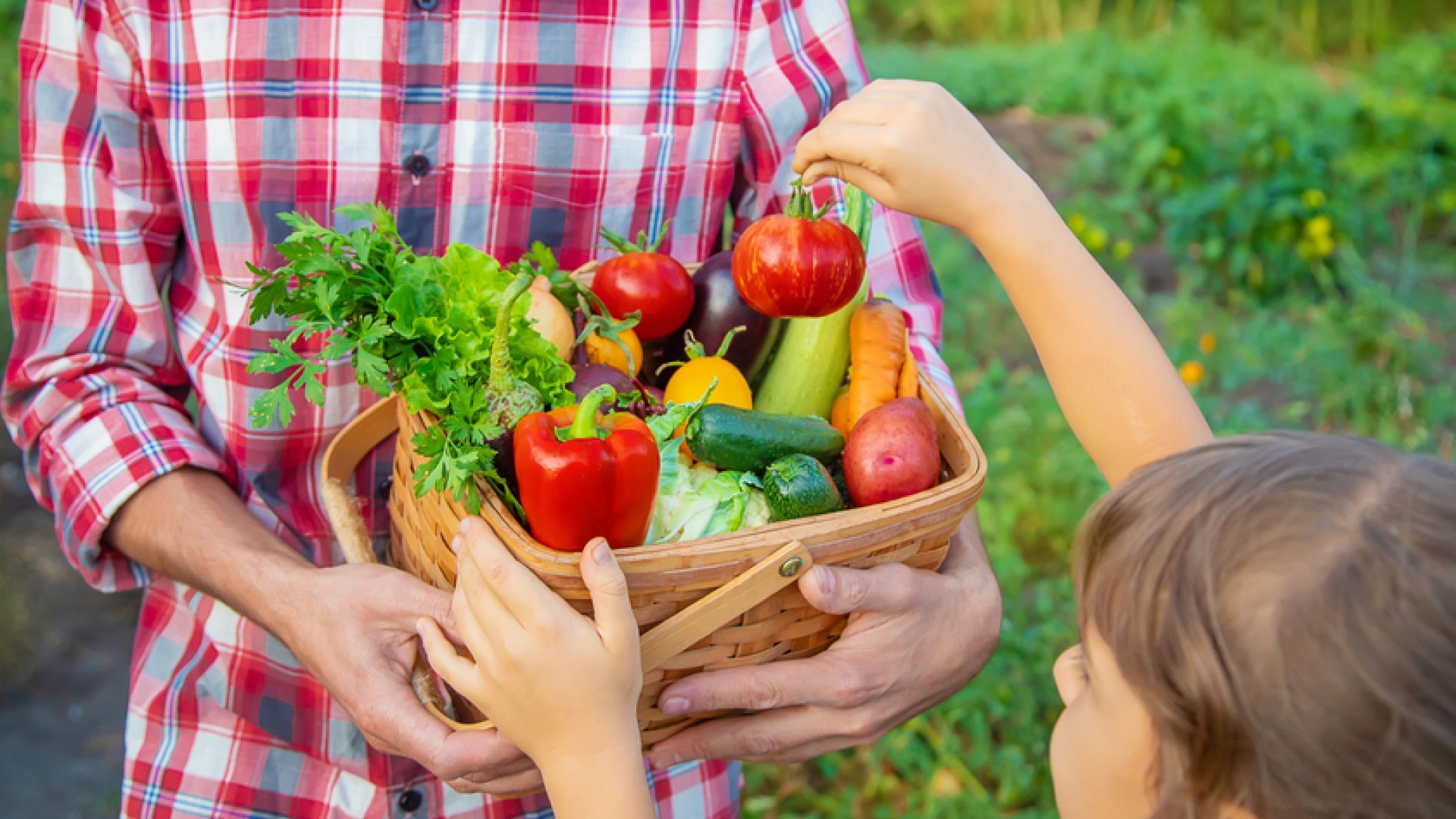A legjobb nyári zöldségek és gyümölcsök