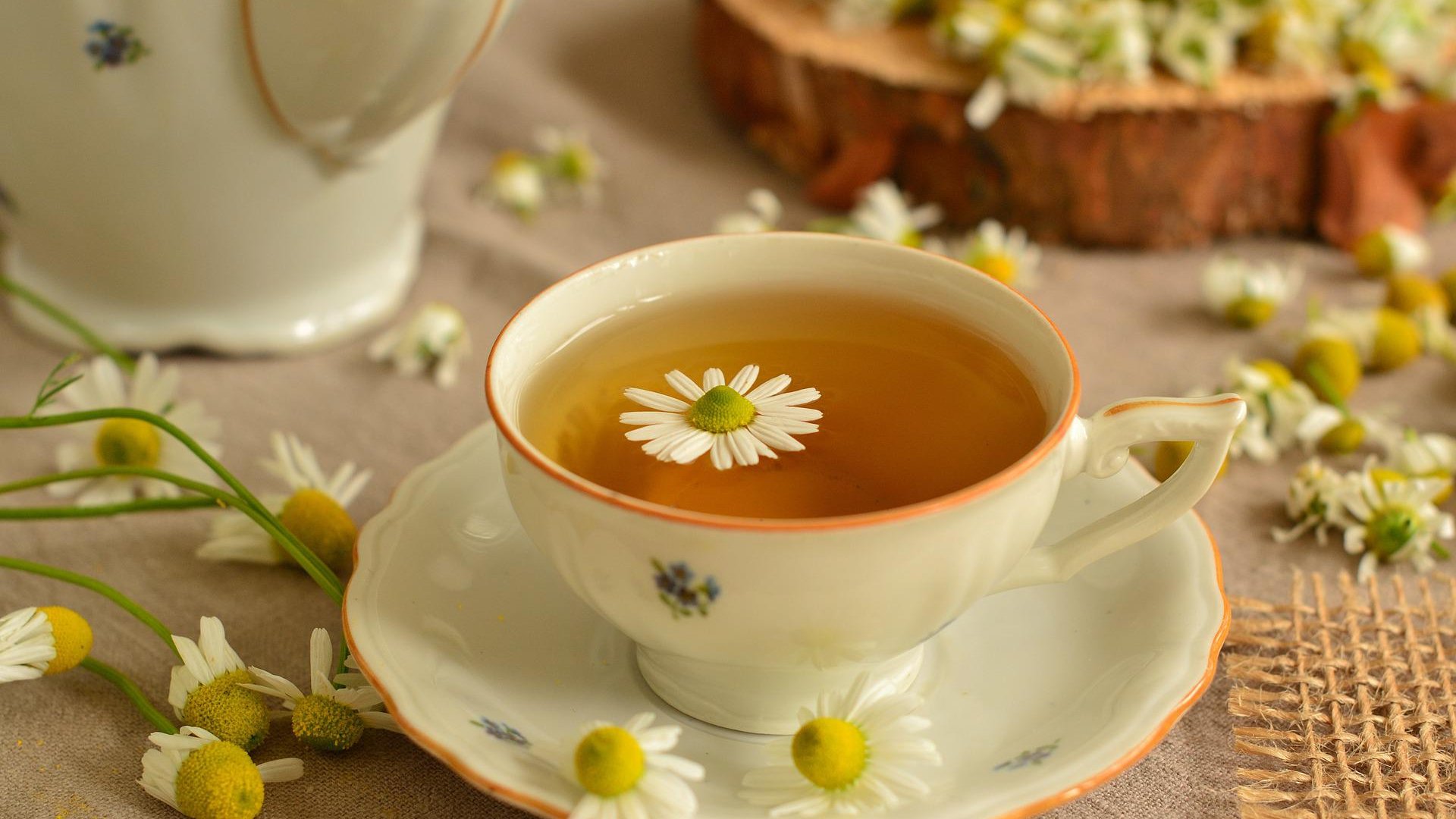 Miért igyunk kamillateát? Miért igyunk kamillateát?