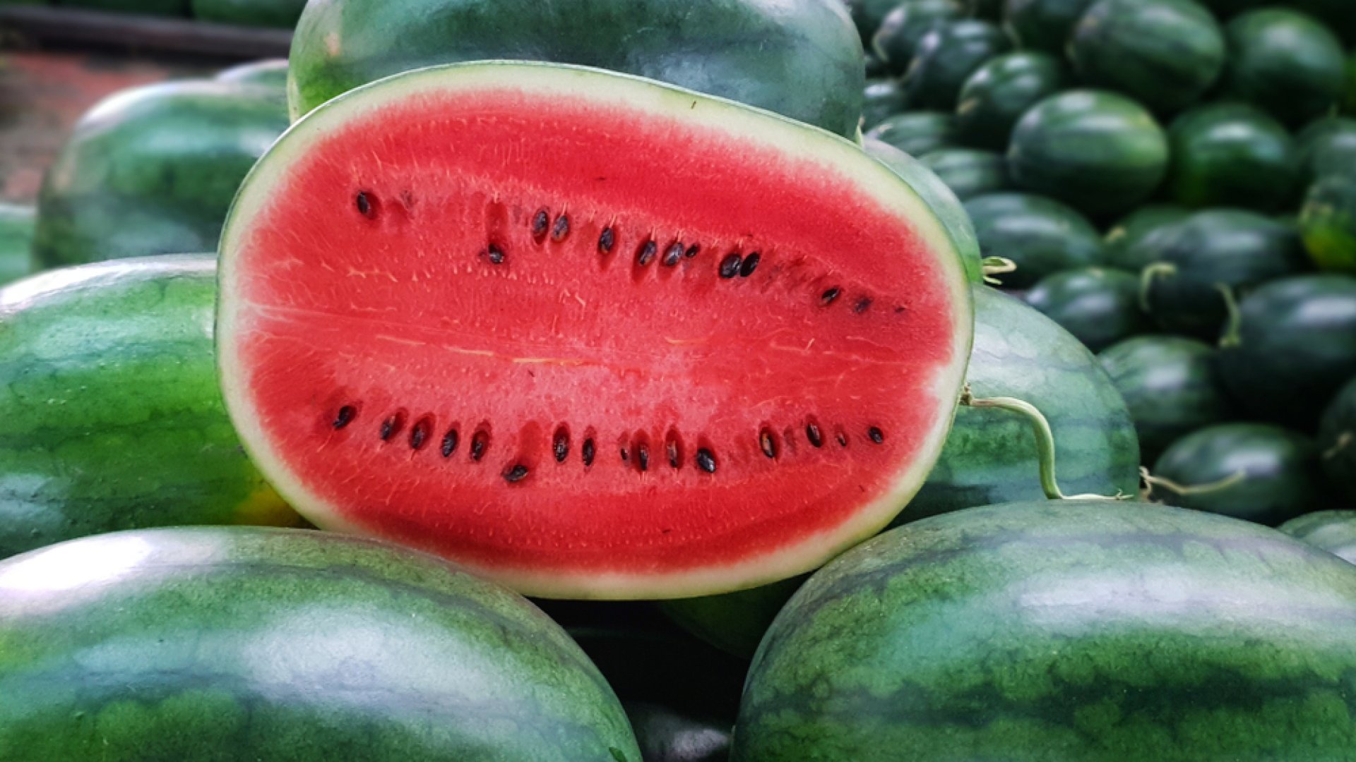 El lehet ültetni a bolti dinnyék magjait? El lehet ültetni a bolti dinnyék magjait?