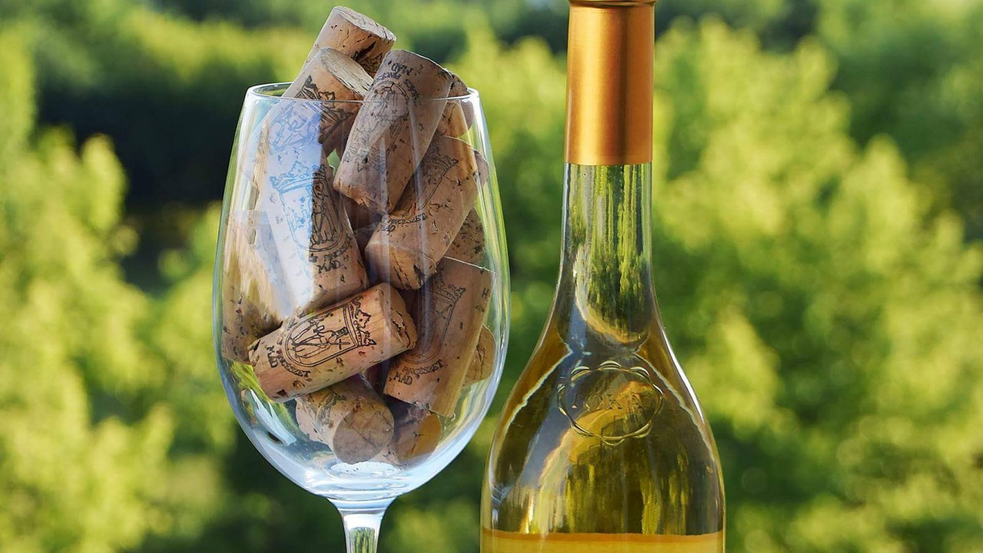 Tokaj az elsők között a Winelovers Wine Awardson Tokaj az elsők között a Winelovers Wine Awardson