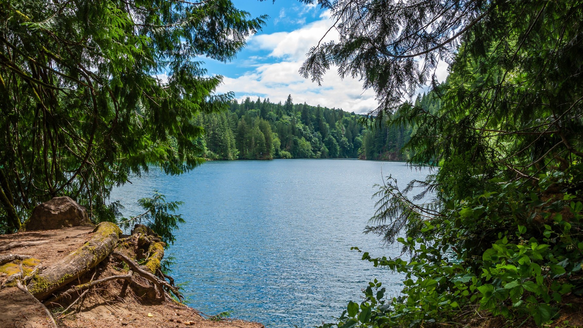 Hűtsd le magad a nyári hőségben! – Mutatjuk a legjobb Budapesthez közeli ingyenes strandokat