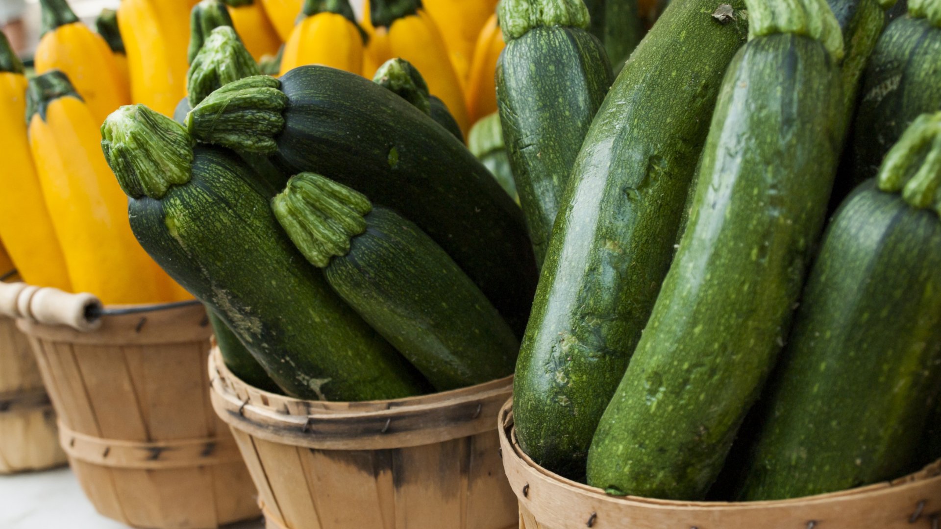 Kezdő kertész vagy? – Mutatjuk a 10 legkönnyebben termeszthető zöldségféléket!