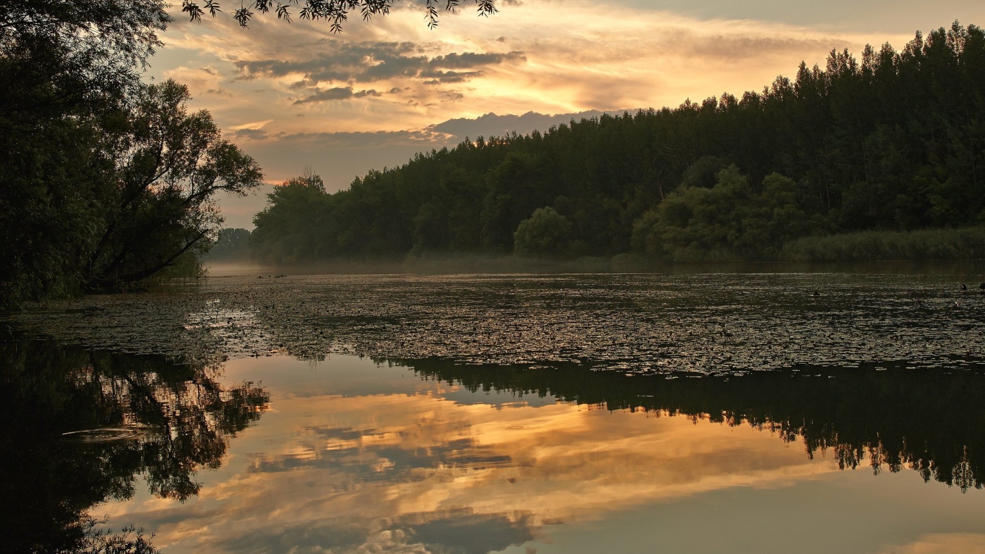 Patkó alakú szigetközi tó – Magyarország rejtett kincsei