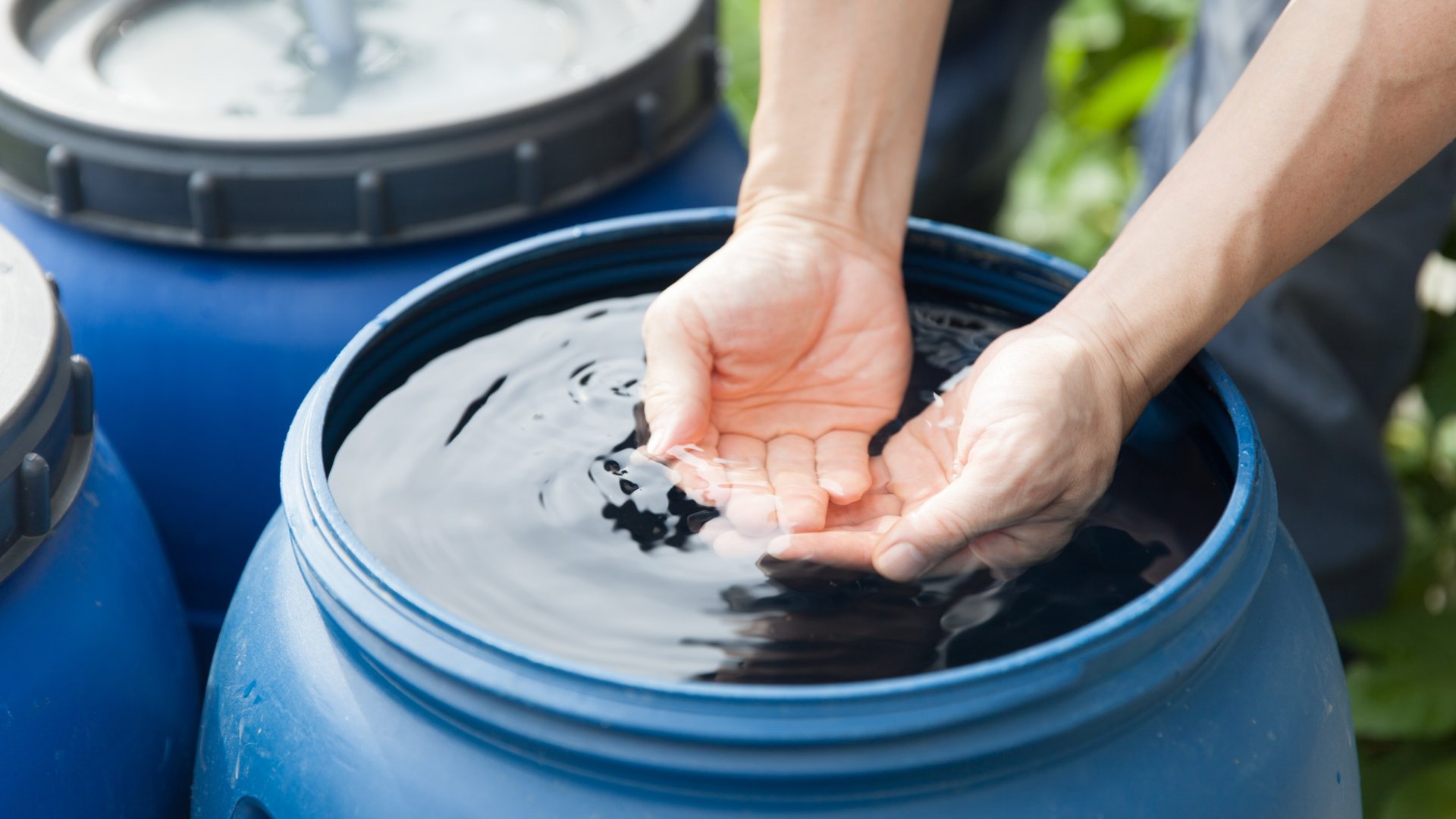 Filléres trükk a locsoláshoz: Így spórolj rengeteg pénzt!