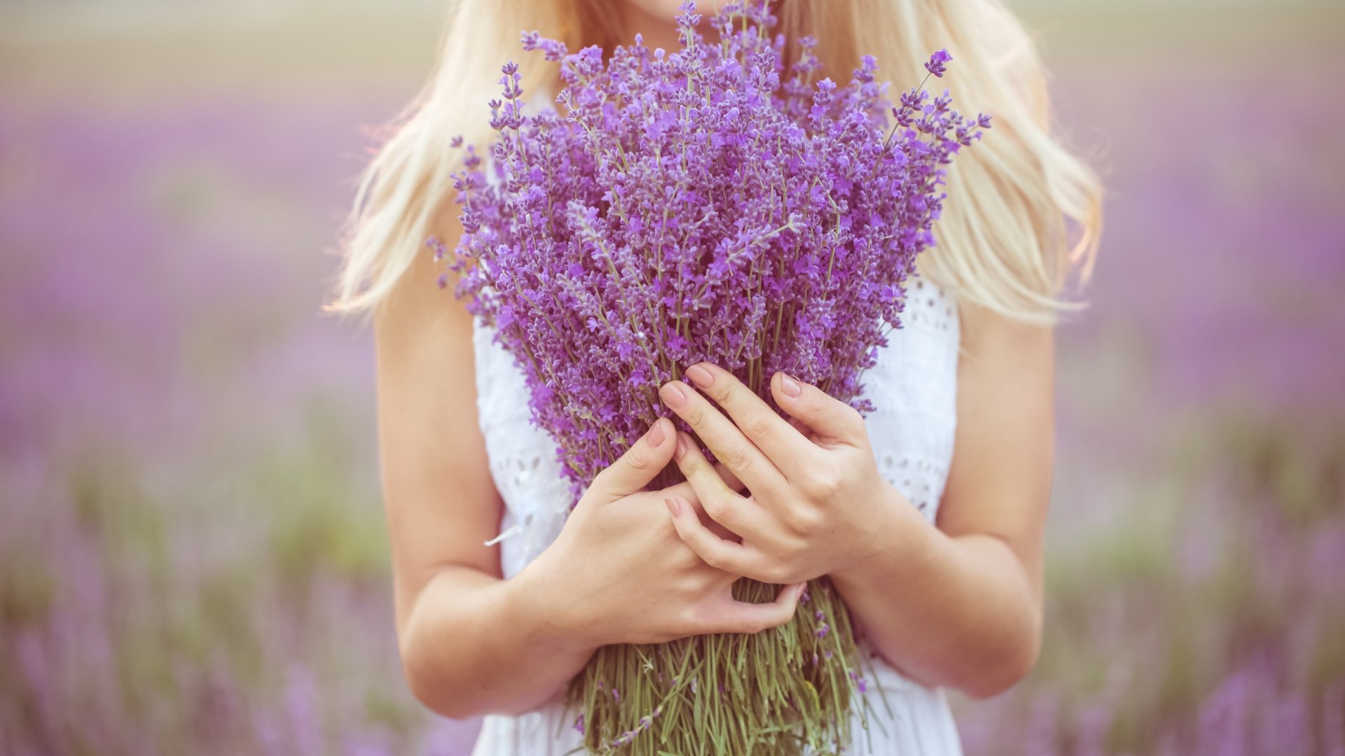 Minden amit tudnod kell a levenduláról – Mikor szedhetjük a levendulát?