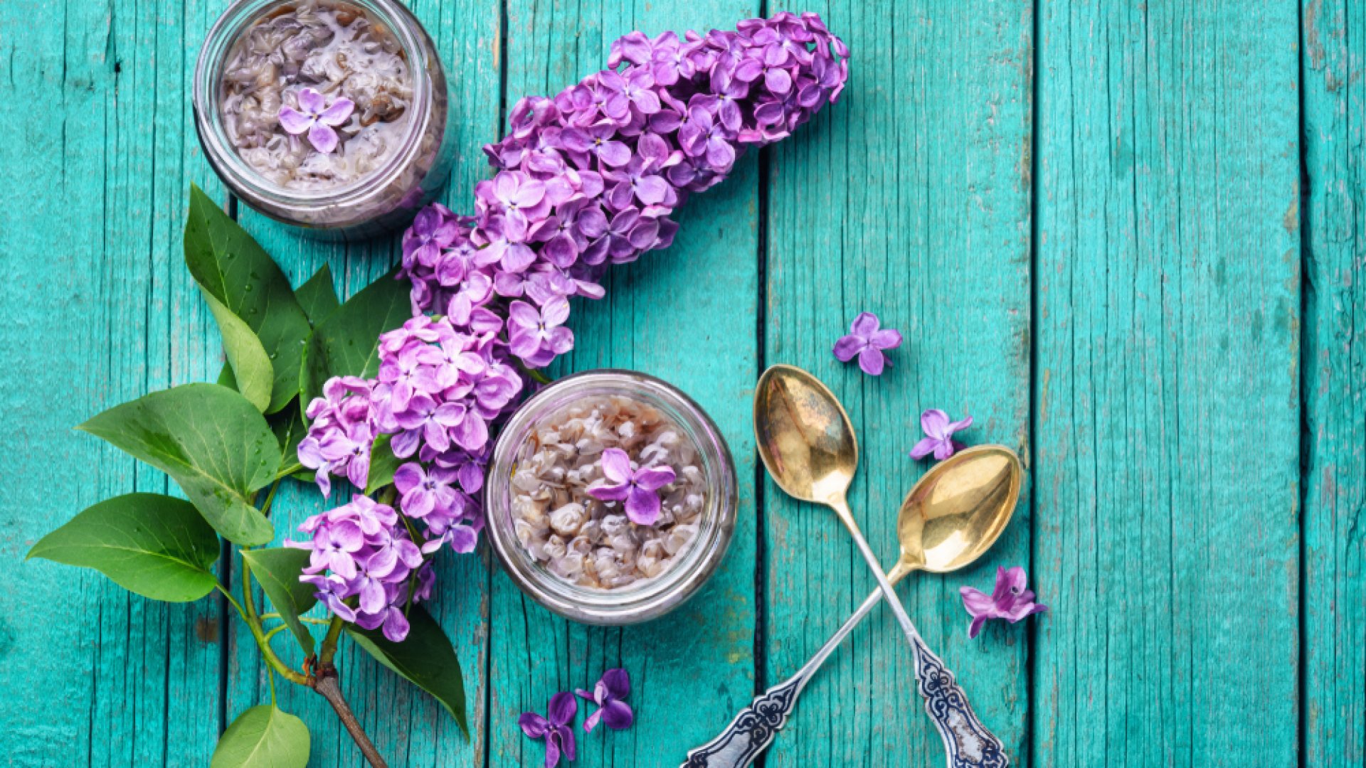 Legjobb orgona receptek