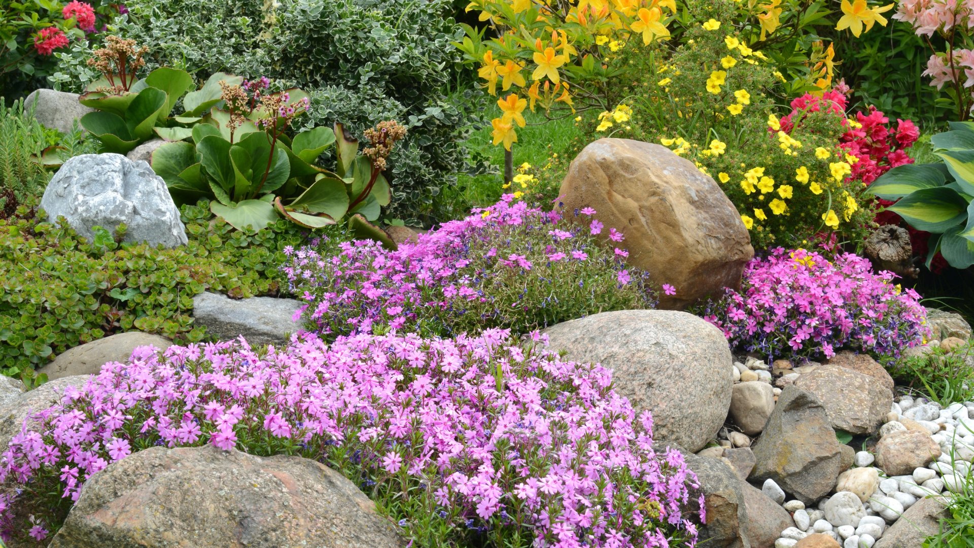 Készíts Te is sziklakertet! – Ez a 8 virág gyönyörűen mutat és még különösebb gondozást sem igényelnek!