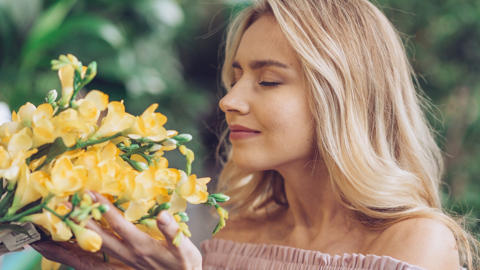 A Frézia ültetése, ápolása és gondozása – Így lesz csodaszép a Fréziád!