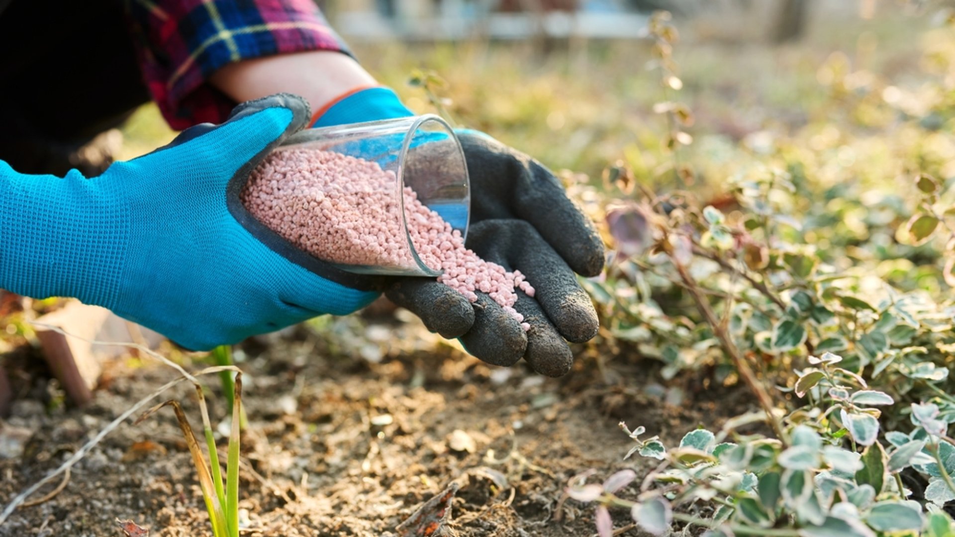 Trágyázásra lenne szüksége a kertednek? Mutatjuk a legjobb módot rá!