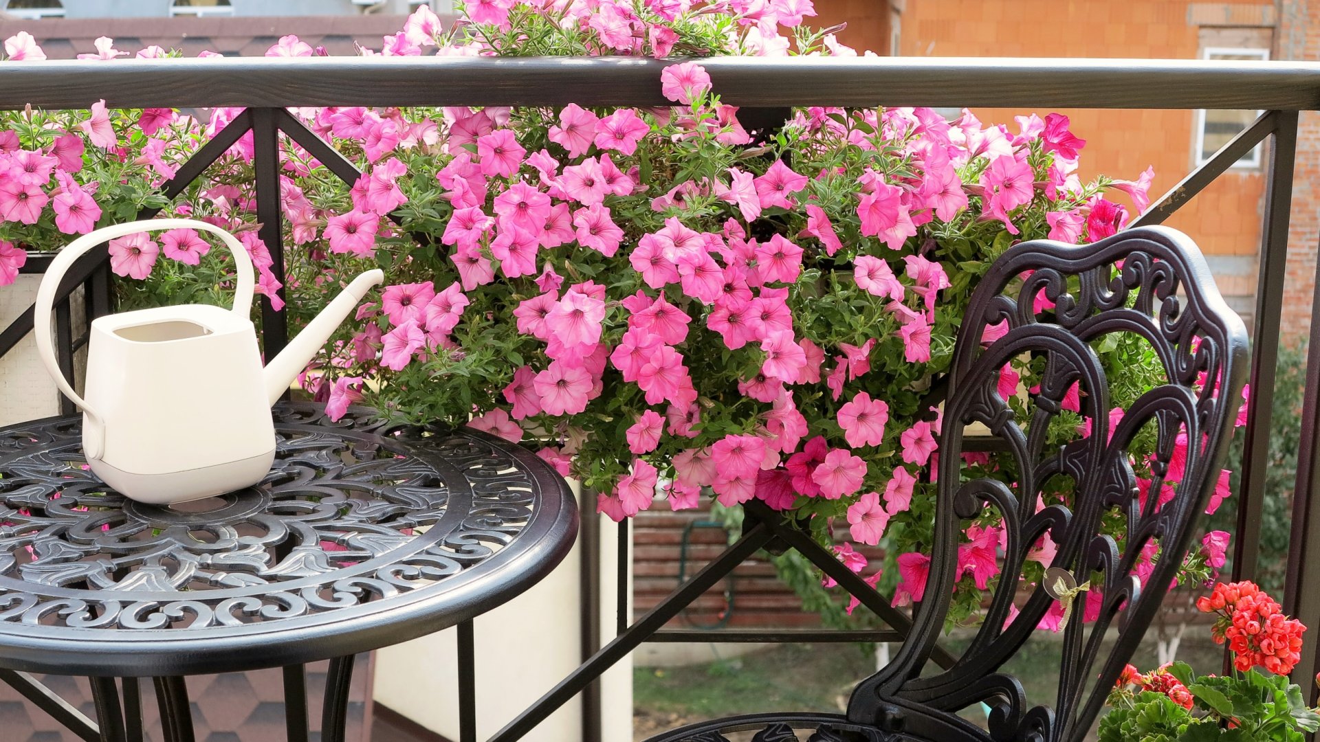 Mikor kezdhetjük meg a nyári kiültetéseket?