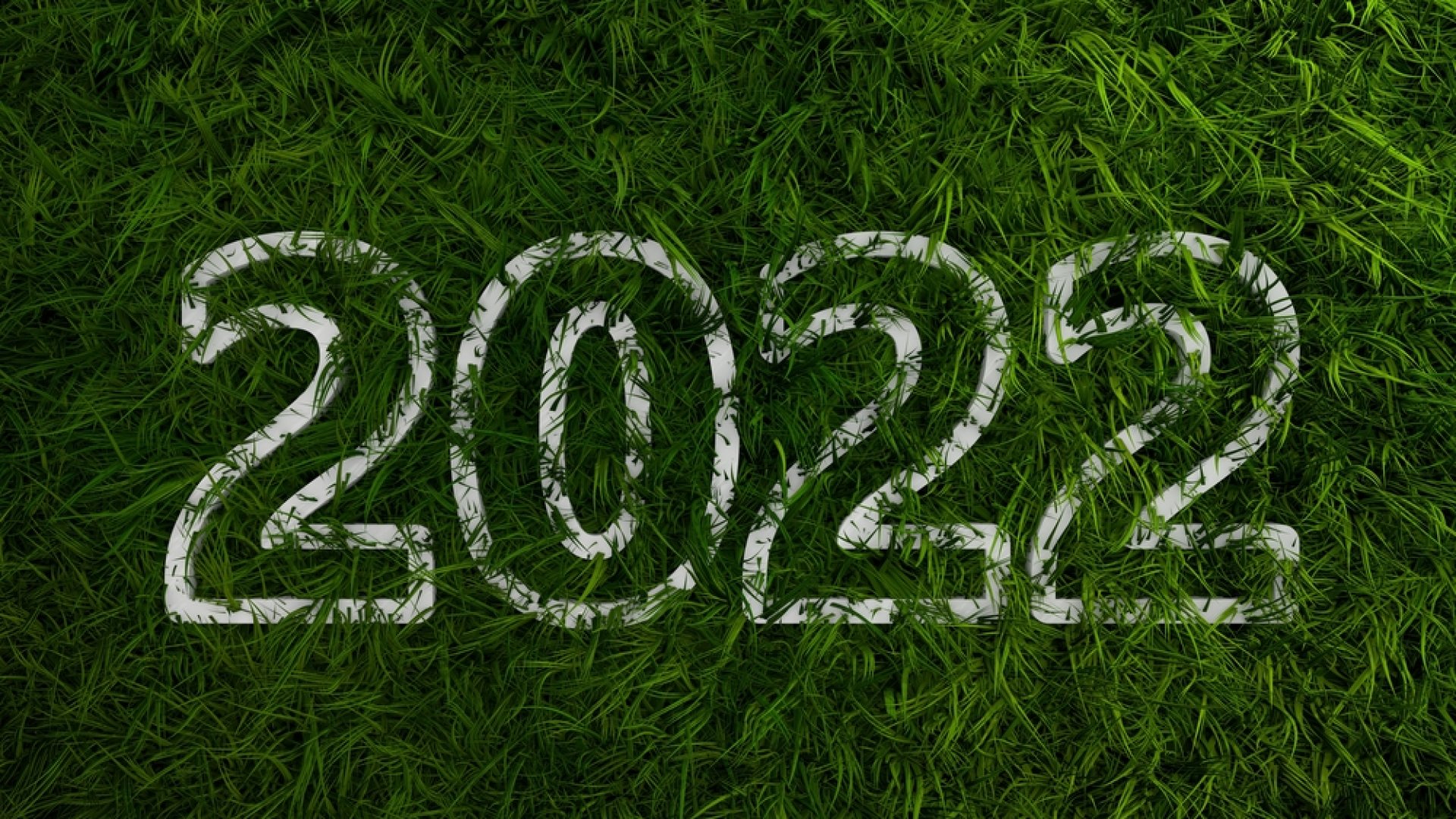 Ezek lesznek 2022 kertészeti trendjei, amiket te is imádni fogsz Ezek lesznek 2022 kertészeti trendjei, amiket te is imádni fogsz