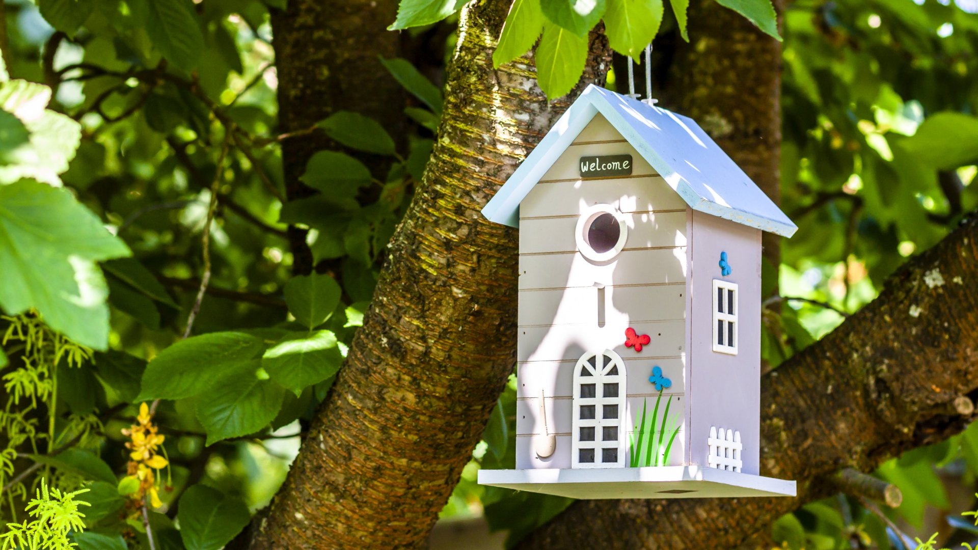 8 csodás madárház ötlet a kertedbe, melynek a kismadarak sem fognak tudni ellenállni!