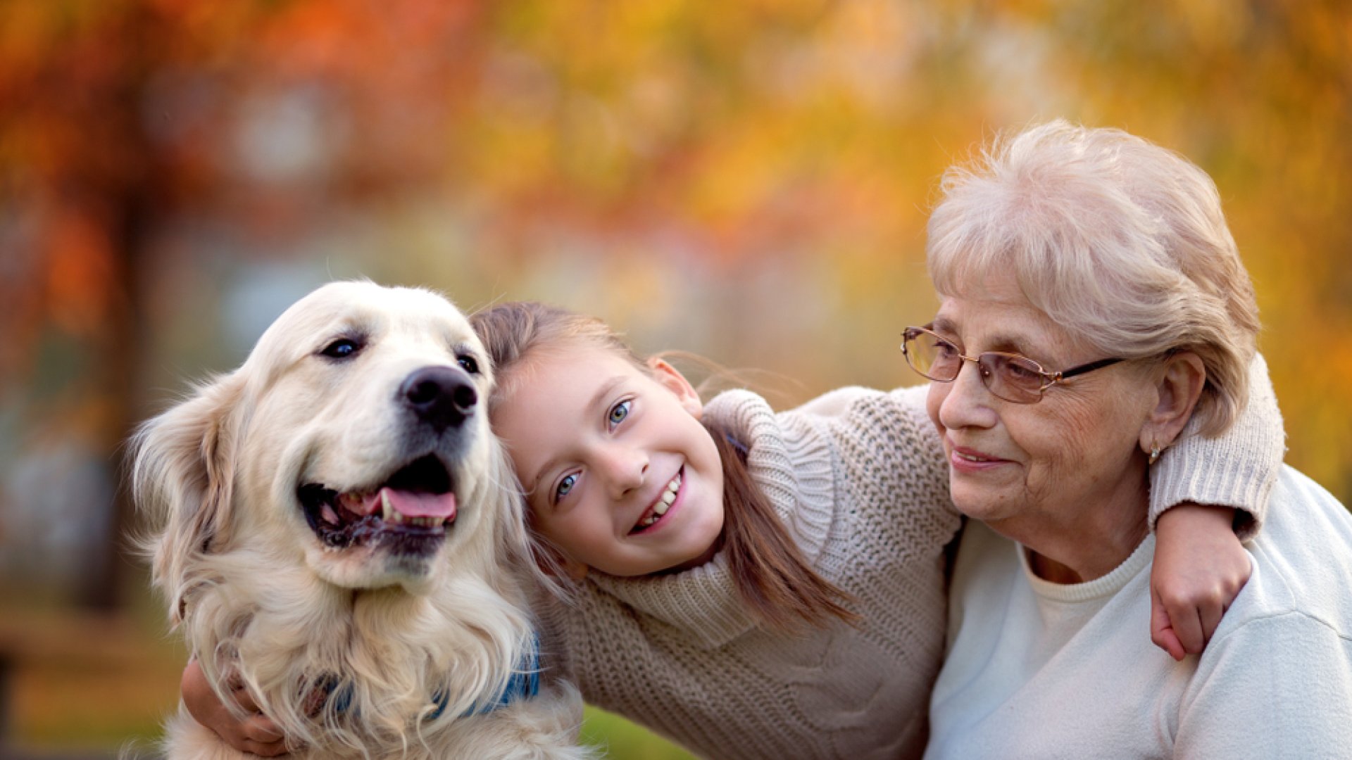 Tökéletes kutyafajták nagyszülők és unokák mellé