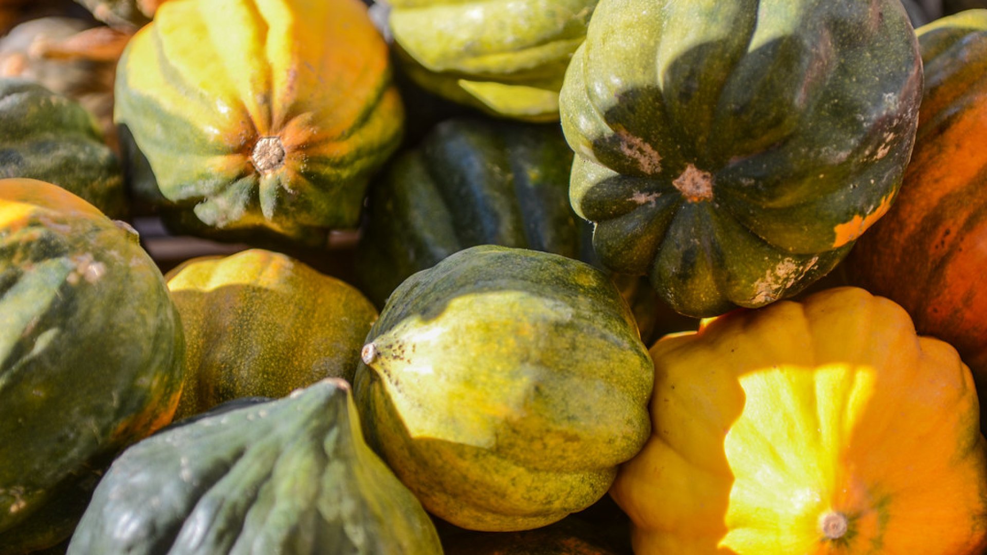 Elérkezett az ősz – íme, a legjobb sütnivaló tökök