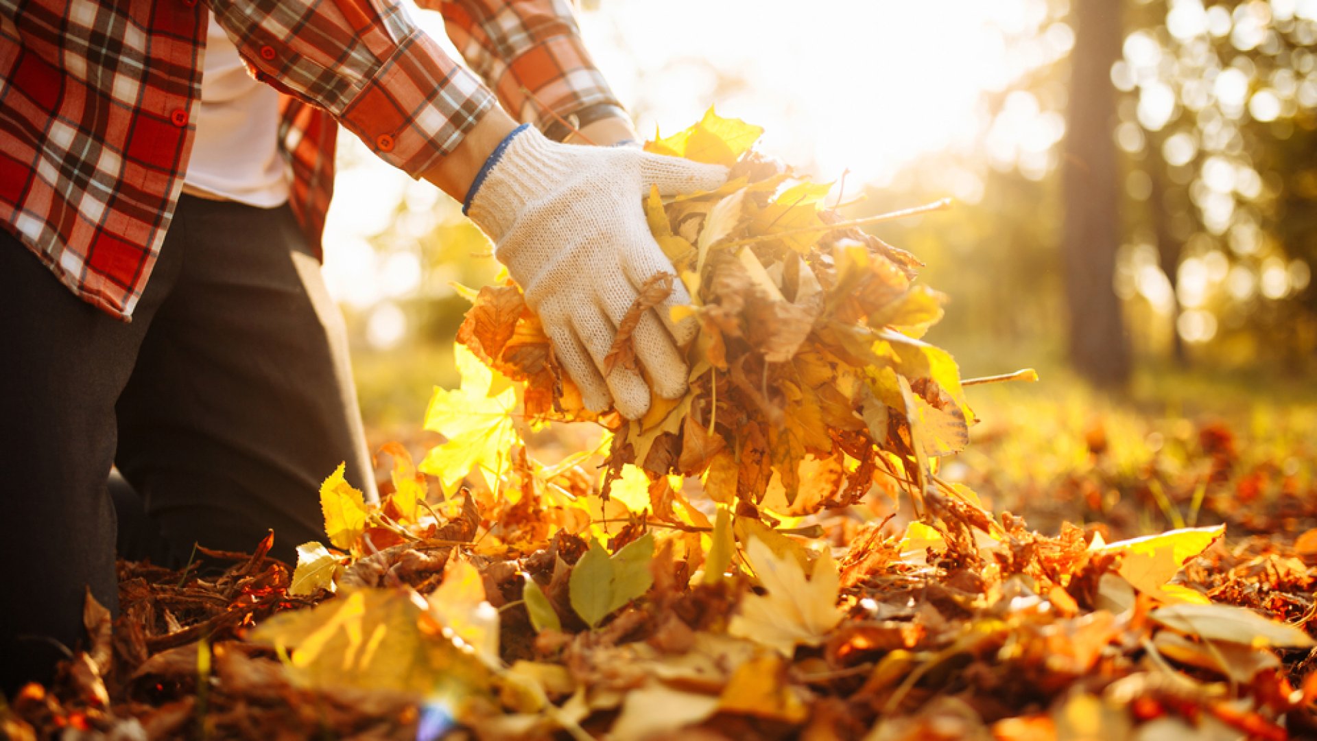 Őszi kerti nagytakarítás – íme, a legfontosabb lépések!