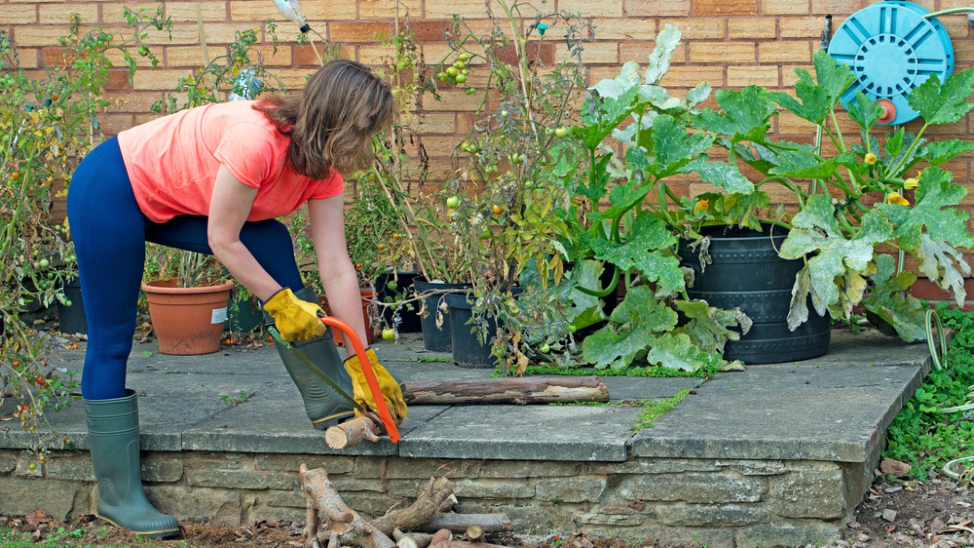 Hasznos tippek - így tartsd karban kertedet ősszel