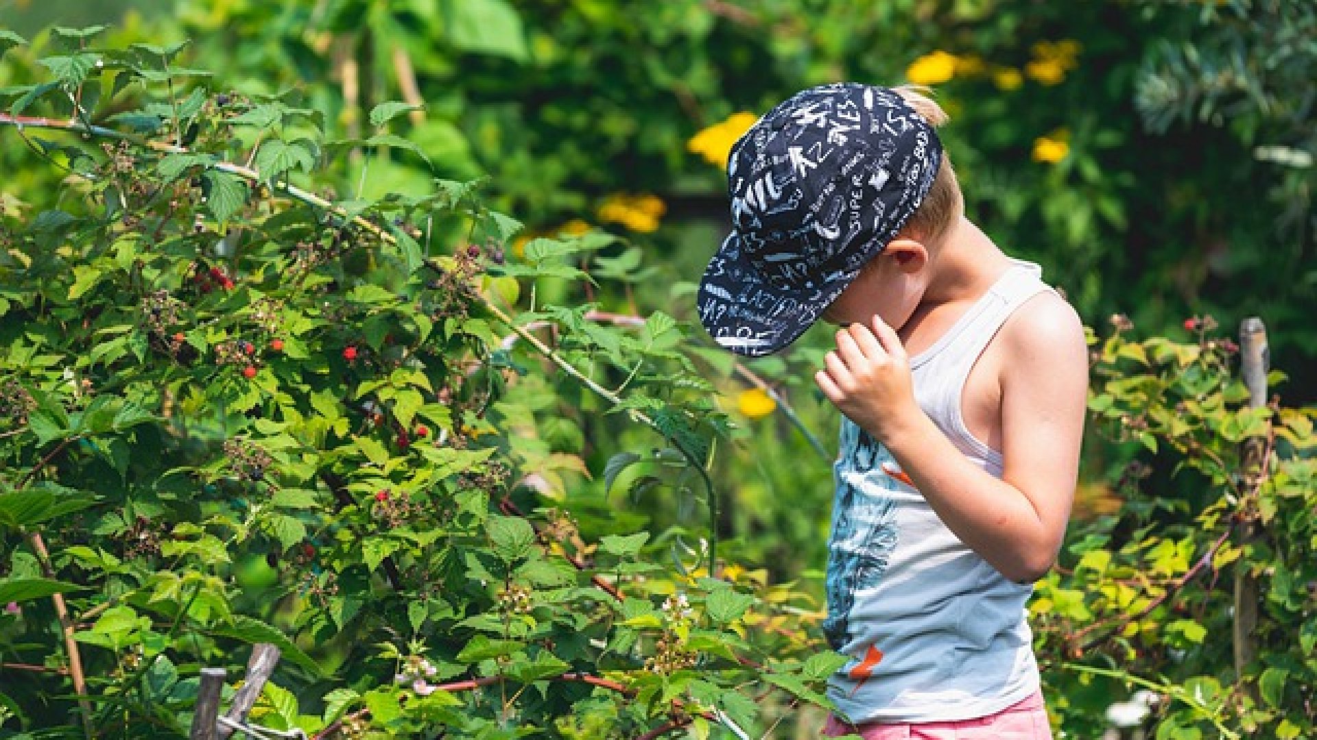 Július – ezeket érdemes elvégezned kertedben a hónapban!