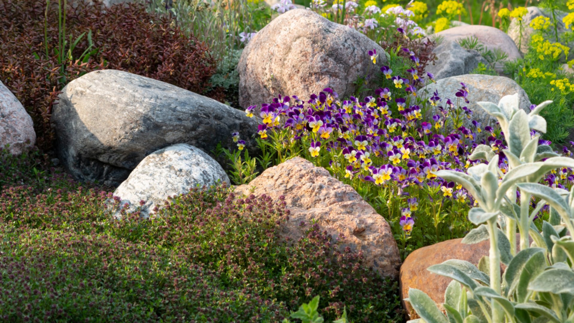 Mire érdemes odafigyelni egy sziklakert kialakításakor? Most segítünk!