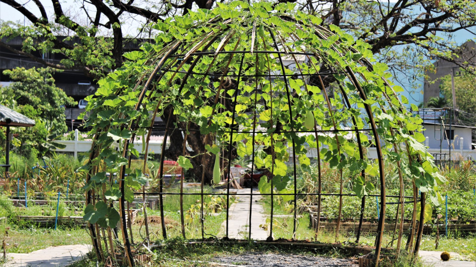 Hogyan érdemes támrendszert készíteni növényeink számára? Most segítünk!