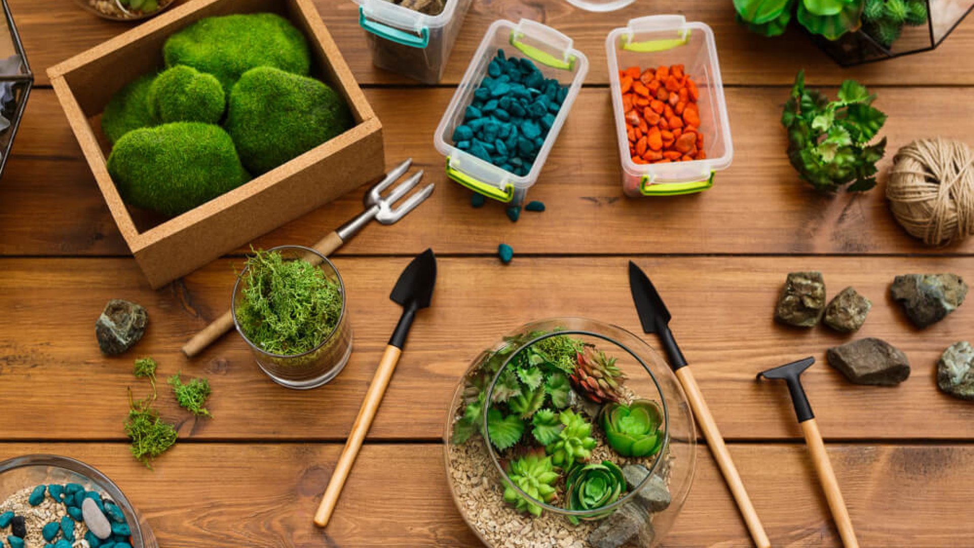 Kertészkedj az egyik legegyszerűbb módon – legyen szuper palackkerted!