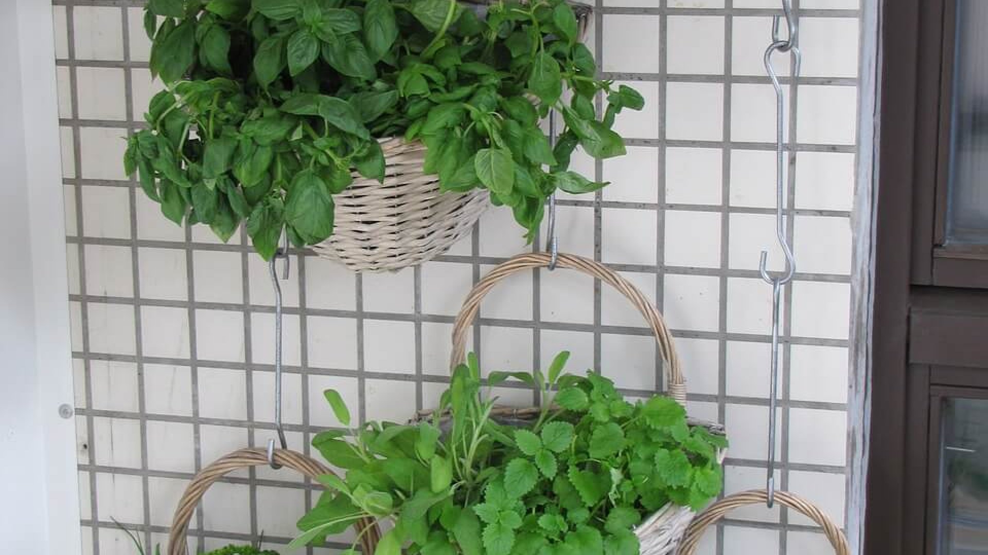 Hogyan kertészkedj városban? Ezekre figyelj!