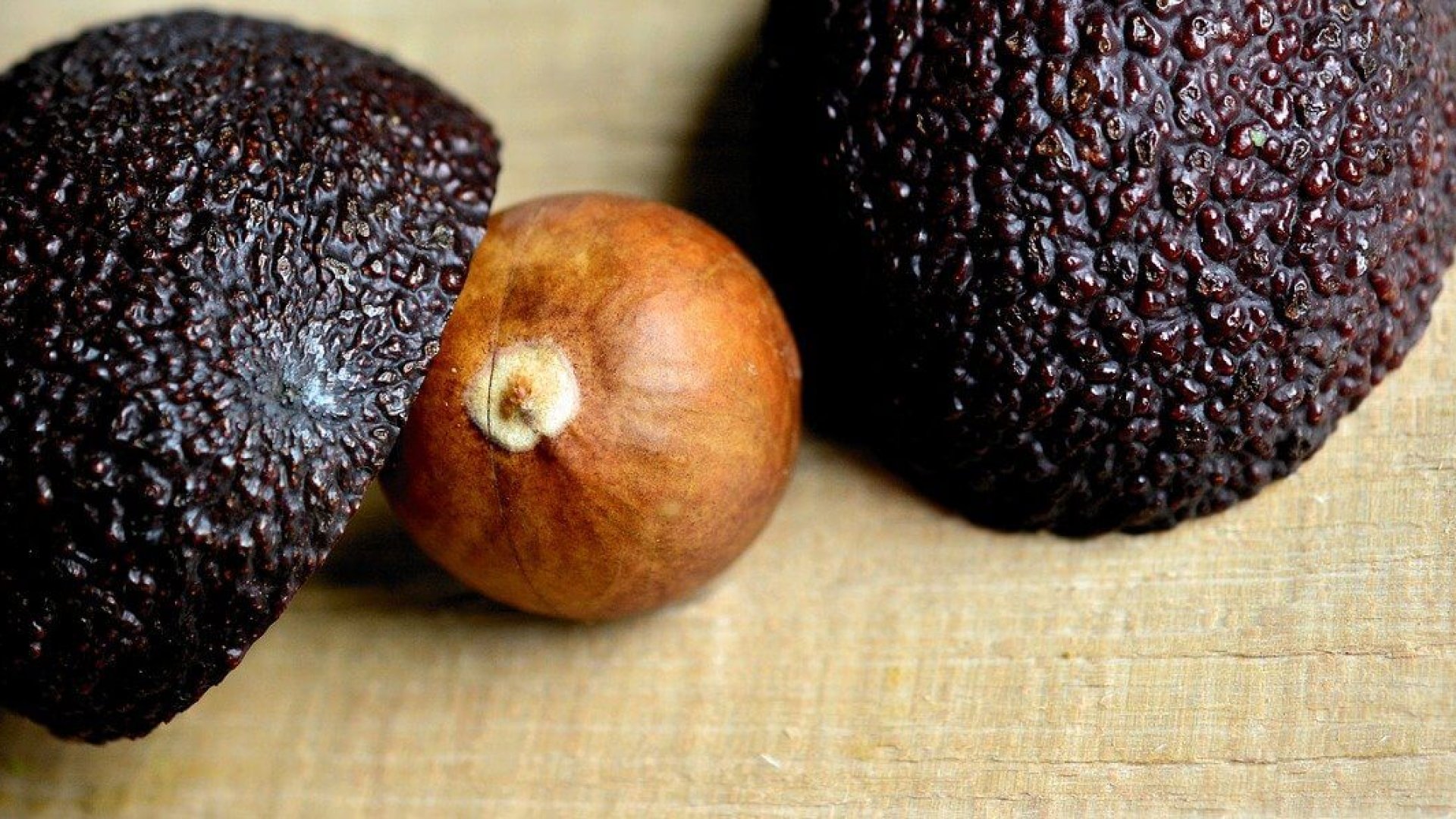 Amennyiben különleges növényt szeretnél - íme, az avokádó