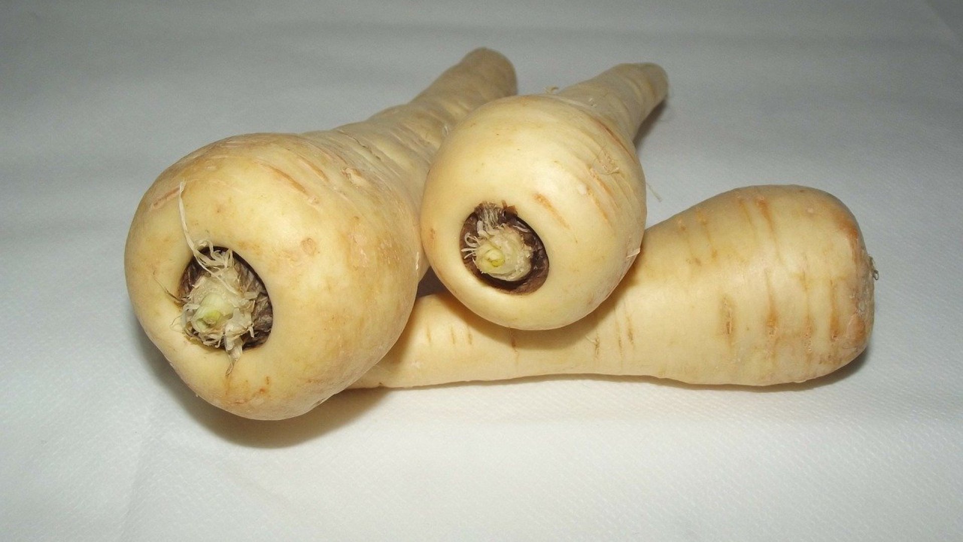 Pasztinák problémák - A pasztinák növényvédelme