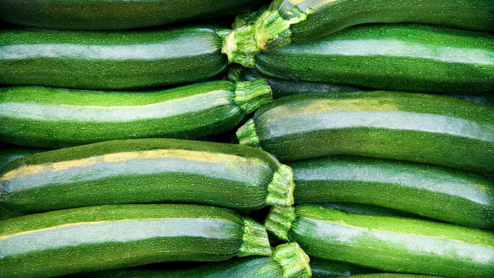 zsengetökök A zsengetökök fajtái