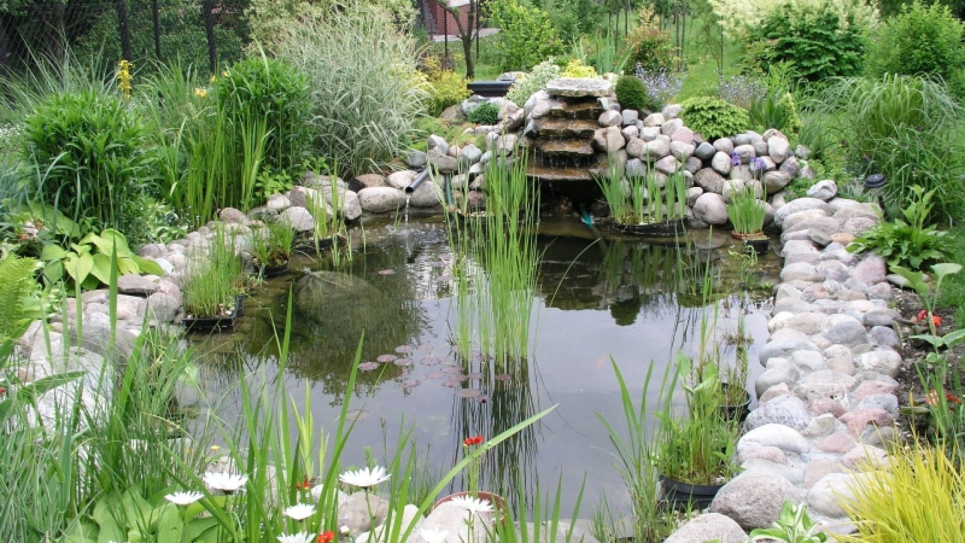 10 növény, amely jól mutat a kertitó mellett