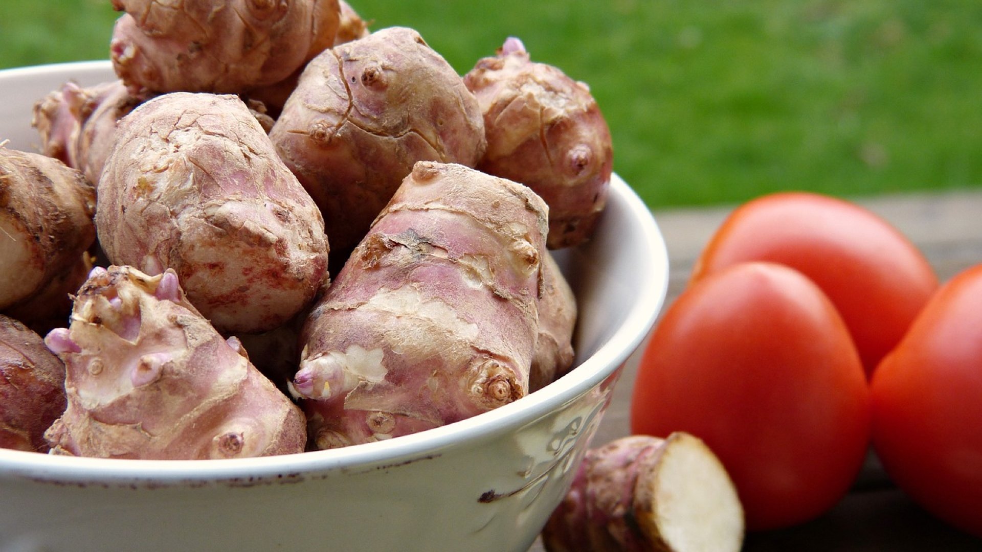 A csicsóka bemutatása