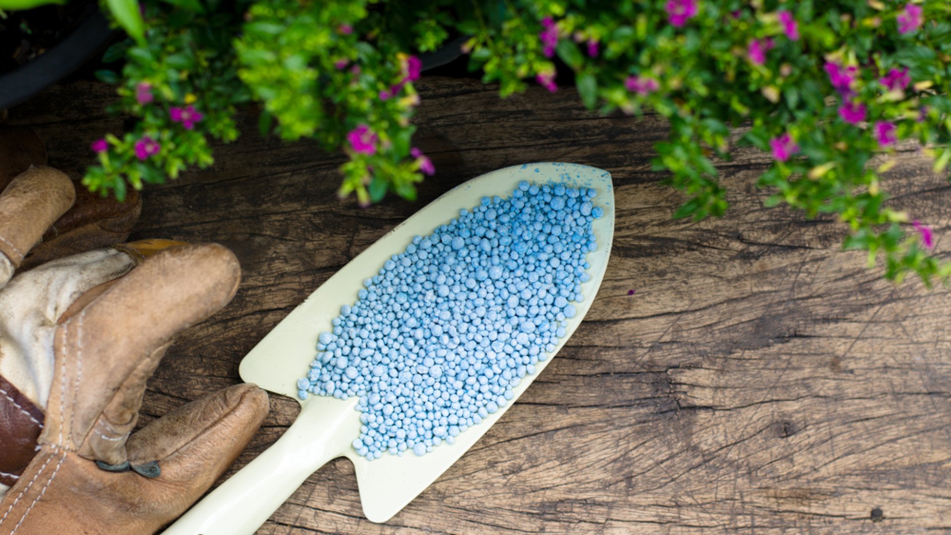 Februártól már nem mindenki vehet műtrágyát! 