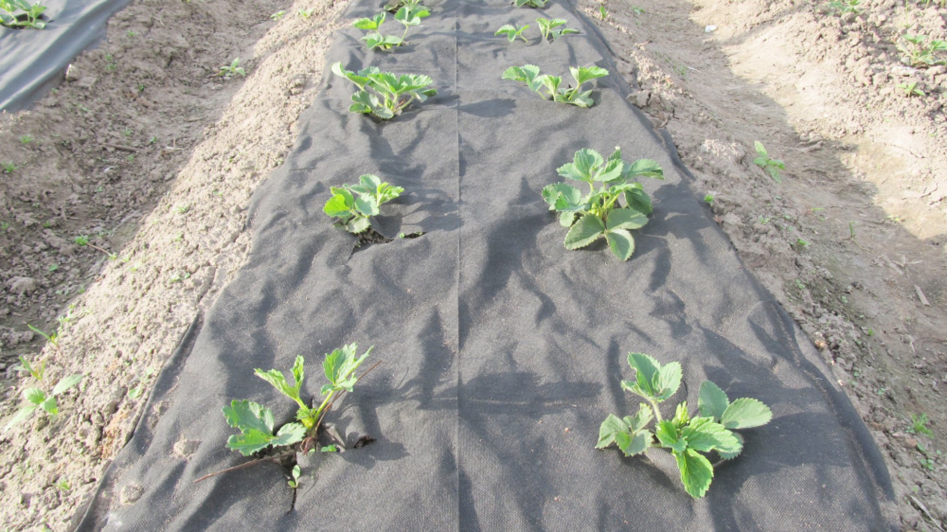 Hogyan használjuk fel a geotextilt? – Tippek, trükkök szakértőtől