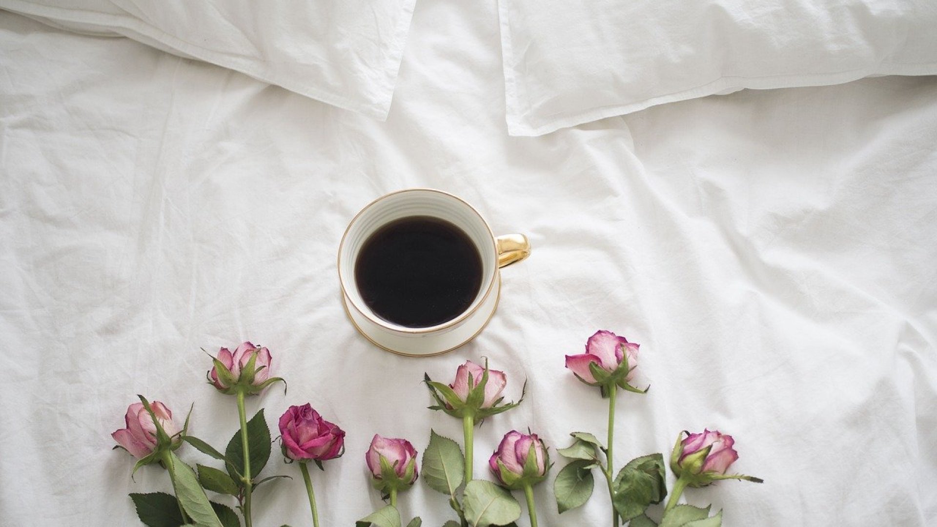 Komposztálás kávézaccal – használt kávé a kertészkedéshez