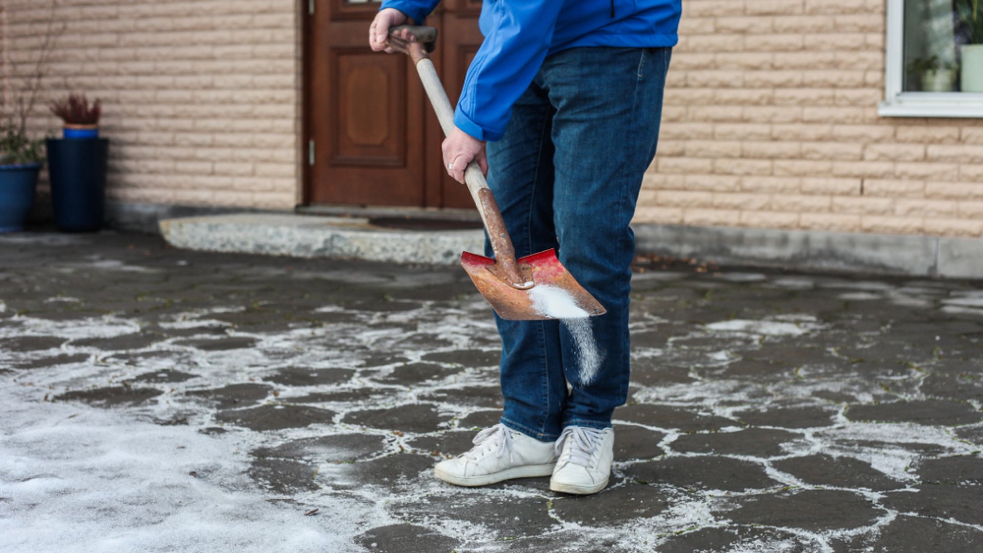 Sózod a jeges járdát? Ezért ne tedd soha többé!  Sózod a jeges járdát? Ezért ne tedd soha többé!