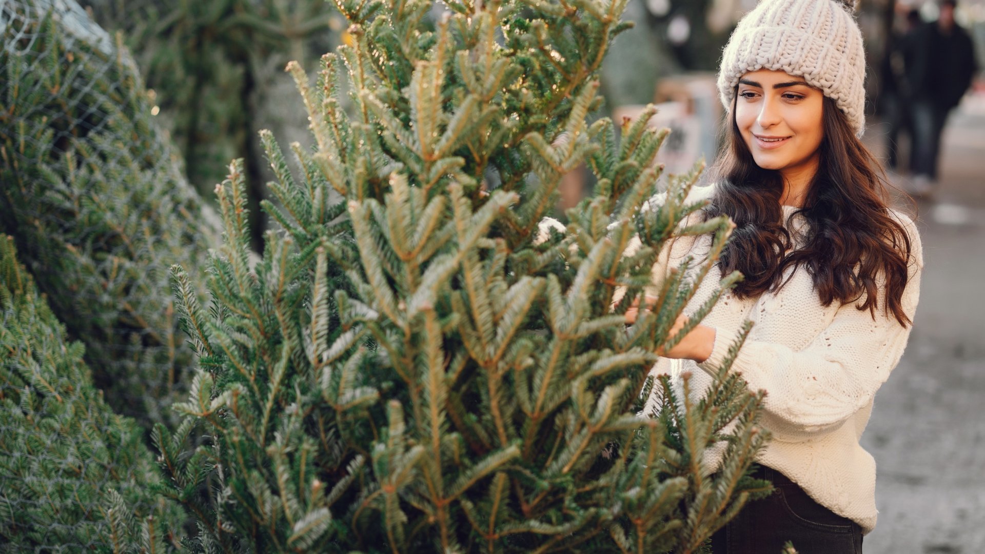 Sokáig lehet friss és üde a karácsonyfa