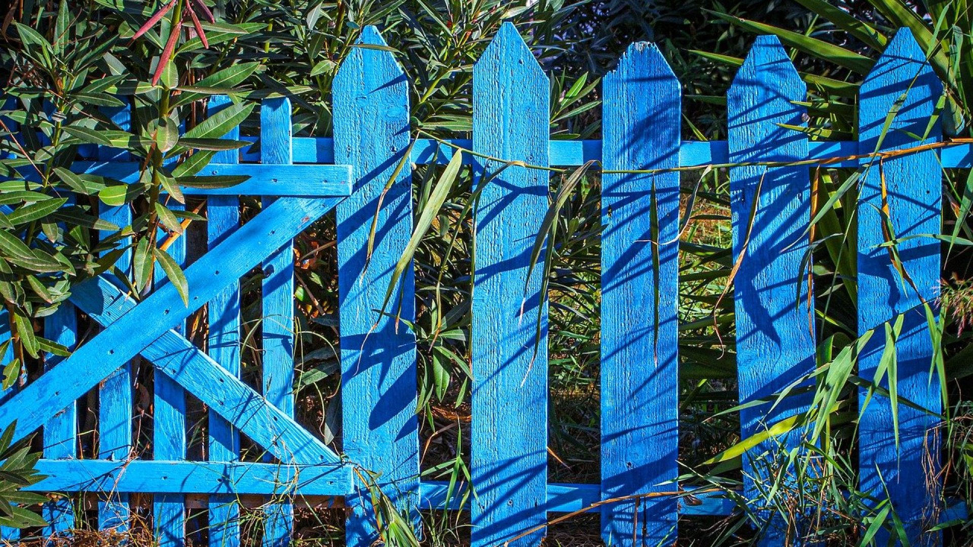 Tippek egy dekoratív és hasznos kerítés megépítéséhez