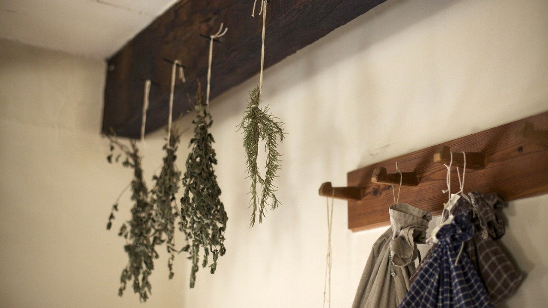 Szuper tippek a fűszernövények hatékony szárításához