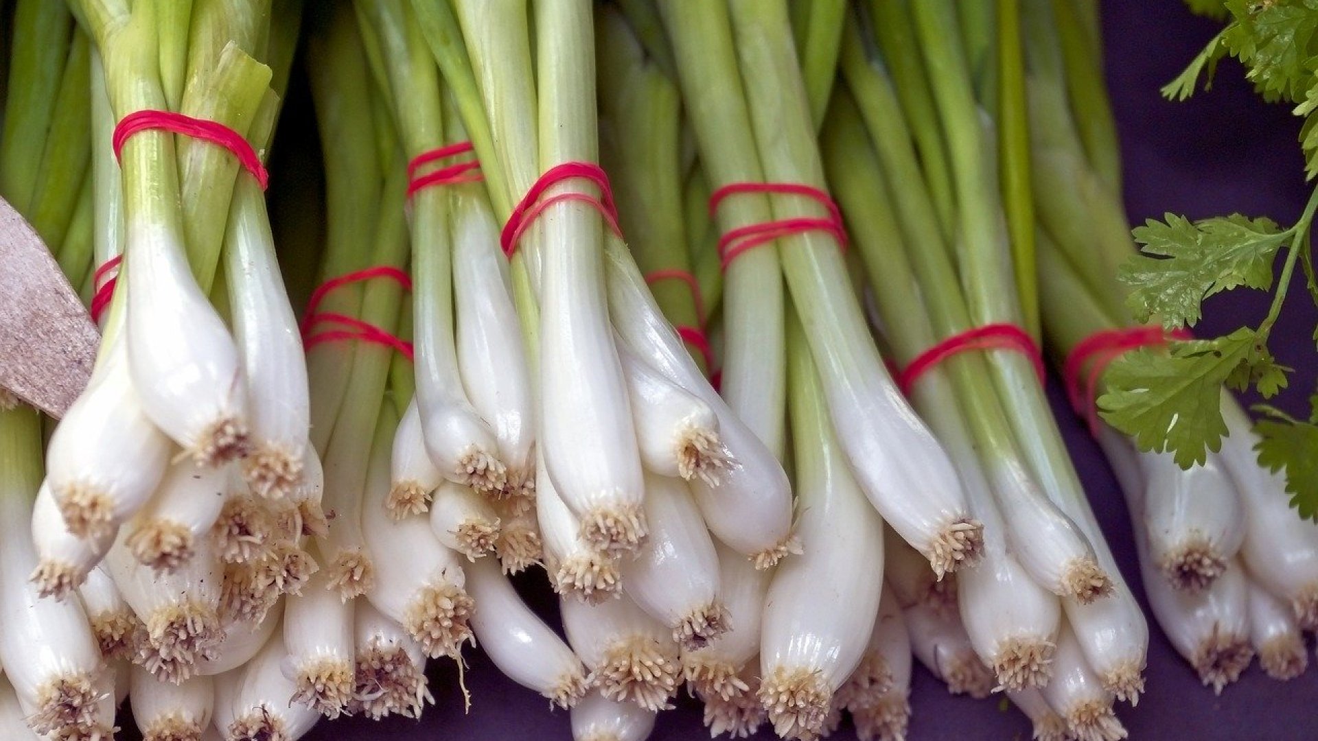 Így termessz egész évben újhagymát a lakásban! 