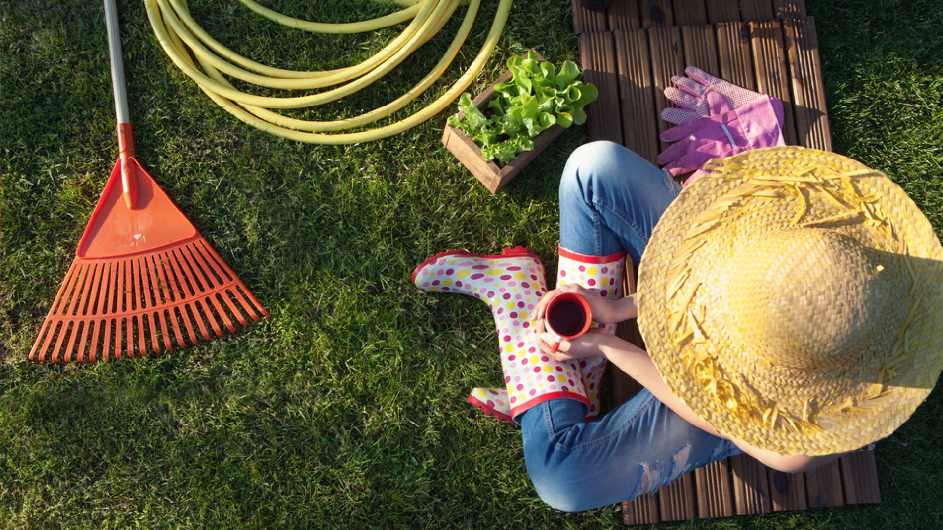 Kerti munkák elvégzése Augusztusban