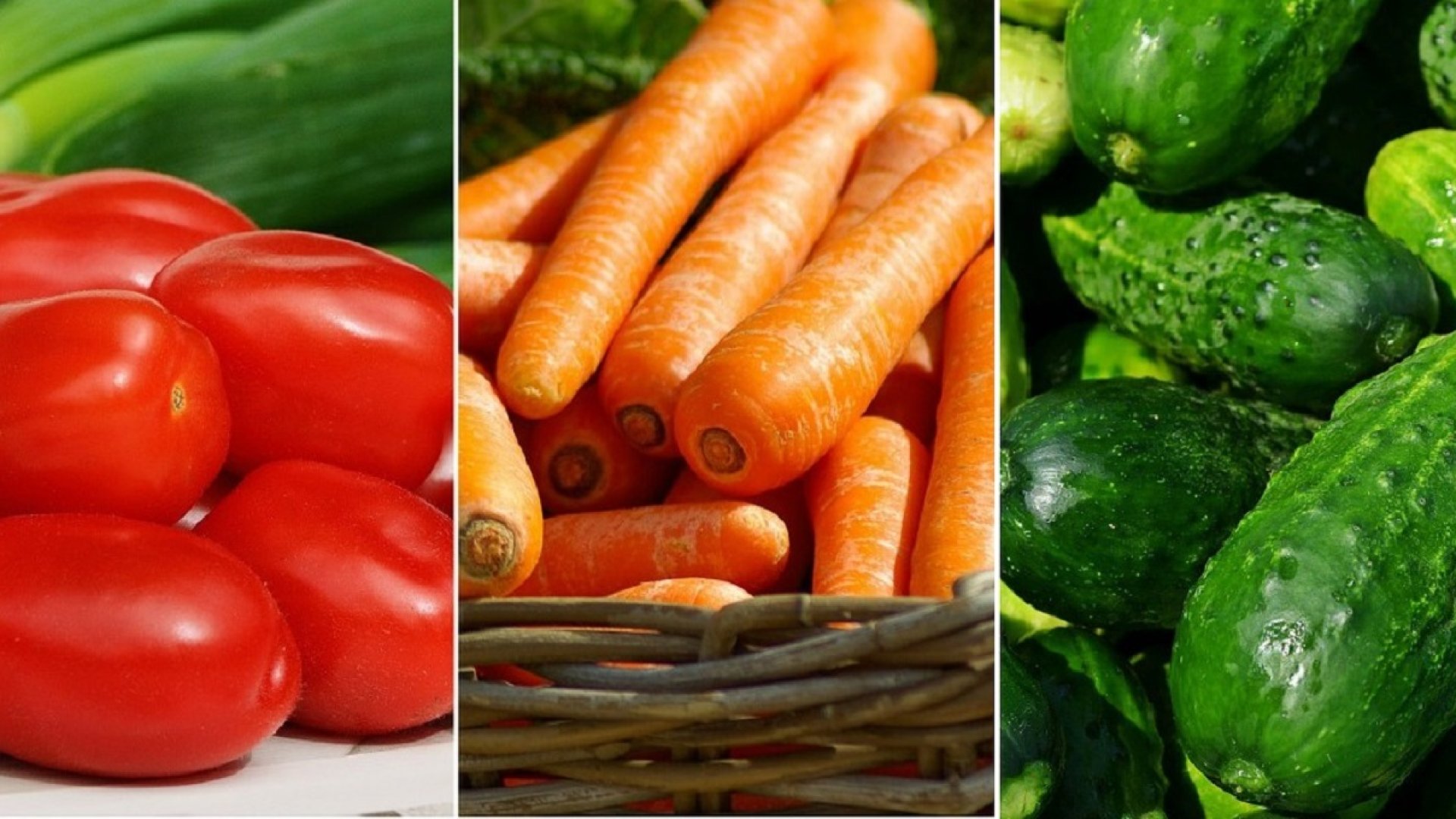 Tegyünk rendet a fejekben! - Tévhitek az F1 növényekről