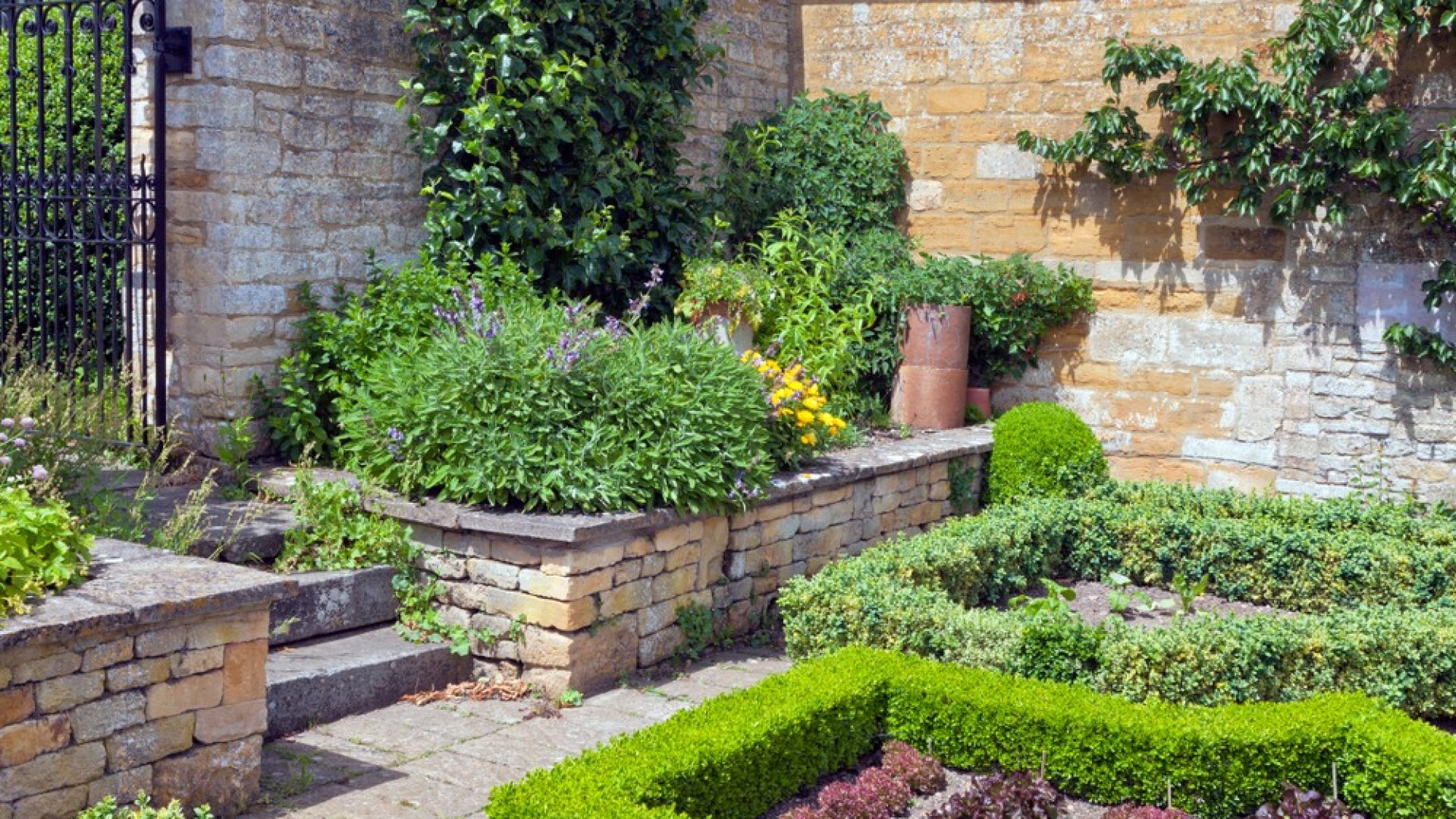 Minden tudnivaló a fűszersövényről