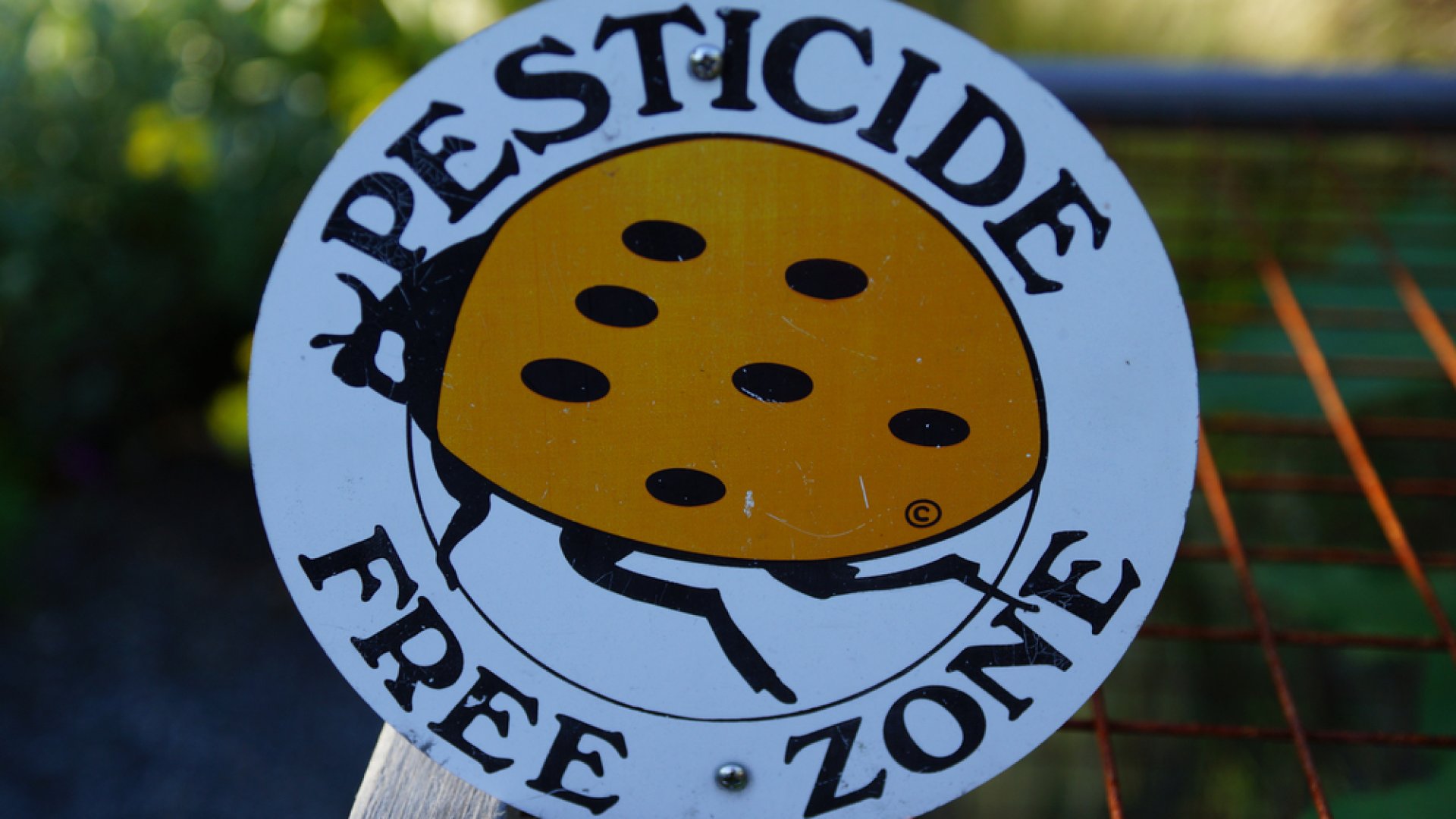 Tippek a vegyszermentes kertészkedéshez!