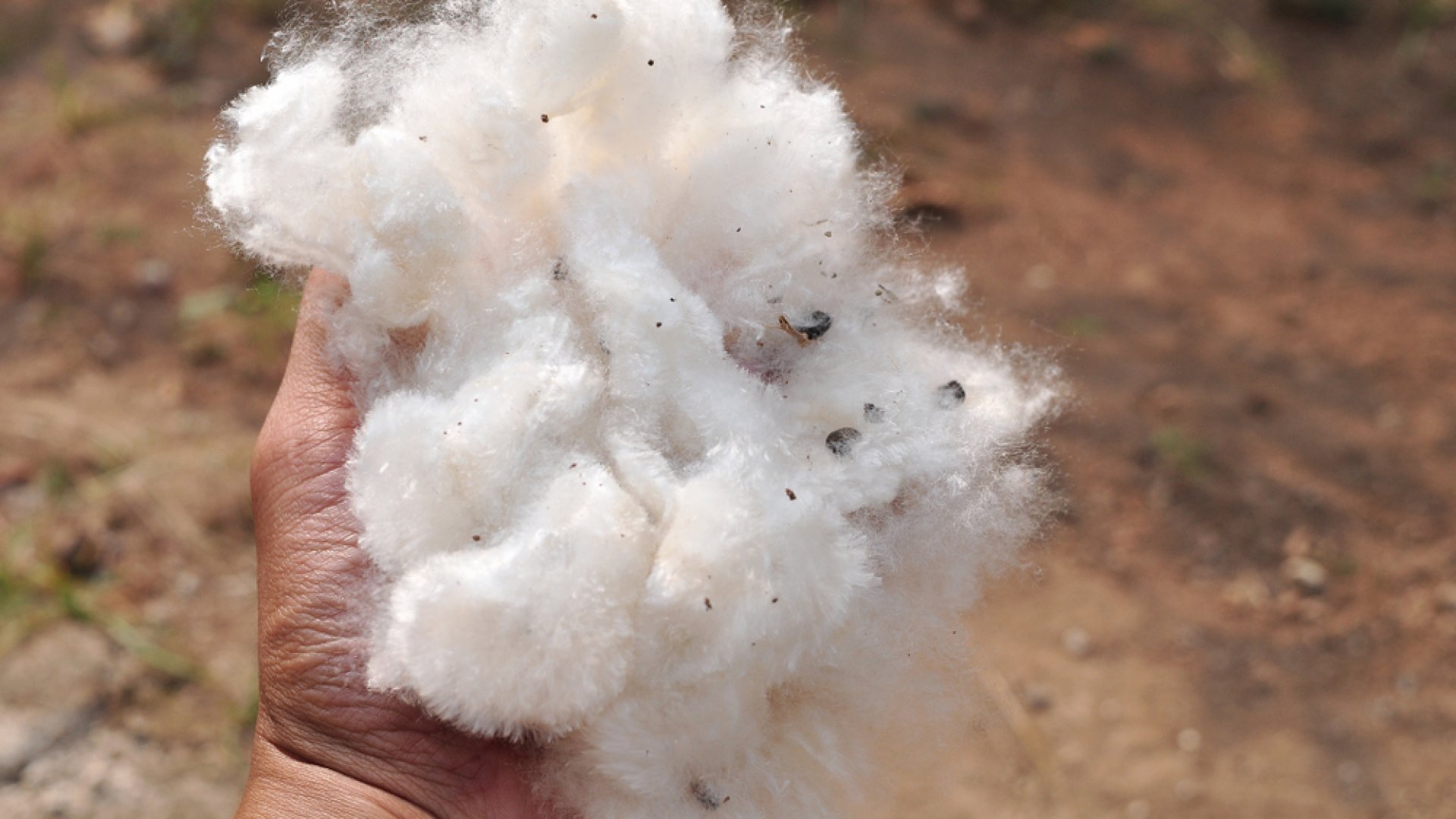 Gyapjú felhasználásának módjai